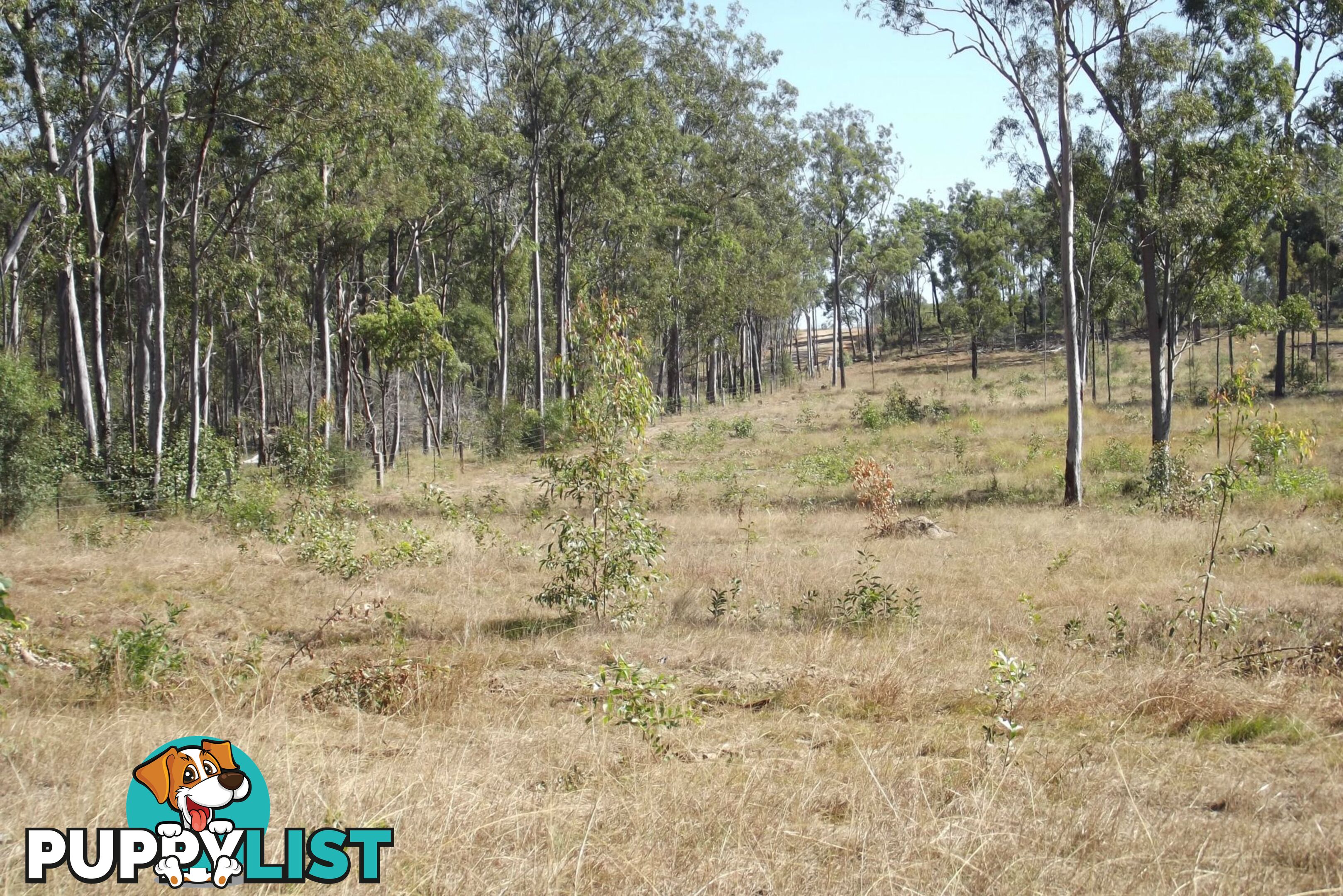 292 Marule Road Booyal QLD 4671