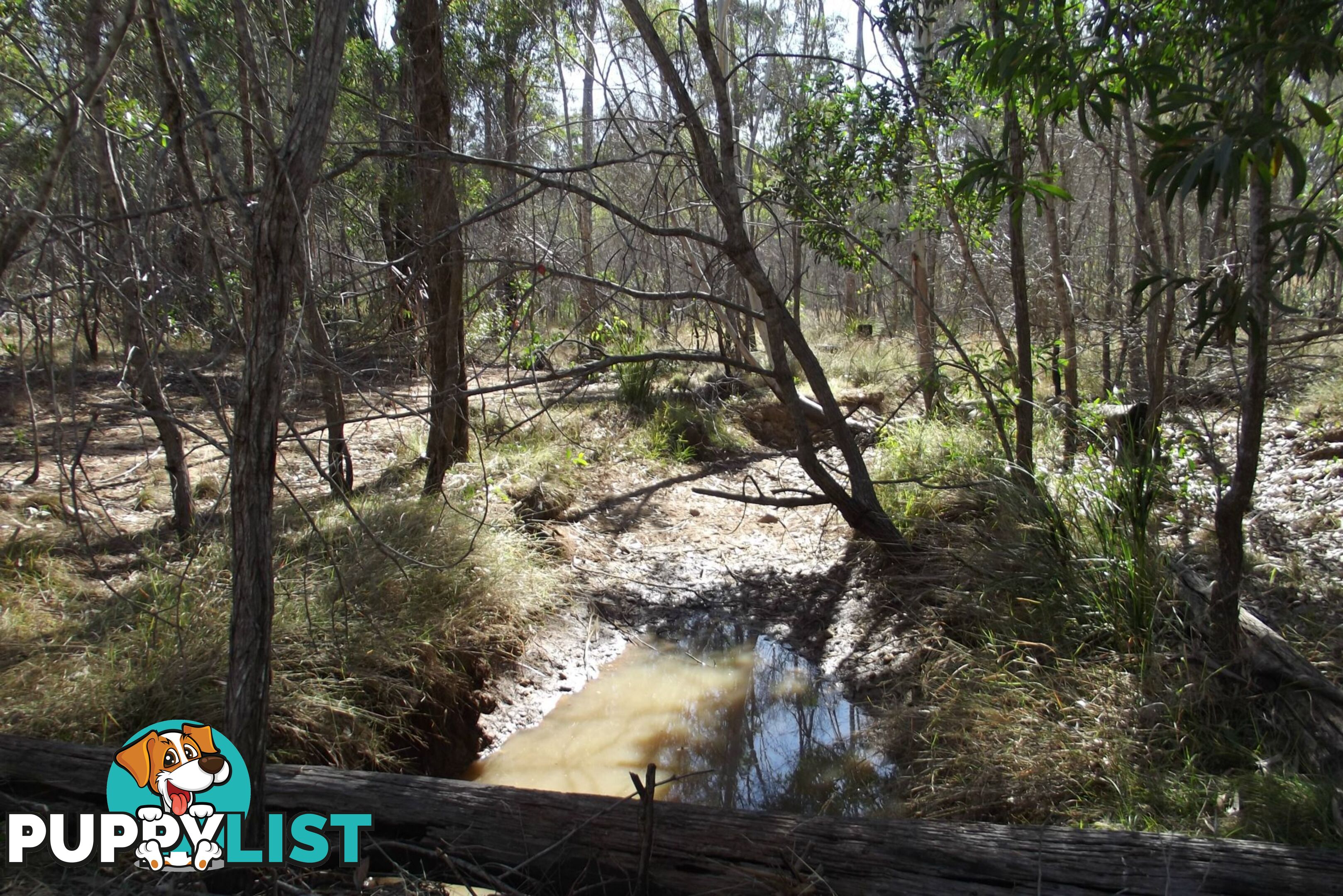 292 Marule Road Booyal QLD 4671