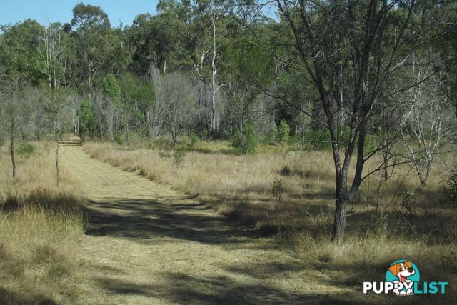 292 Marule Road Booyal QLD 4671