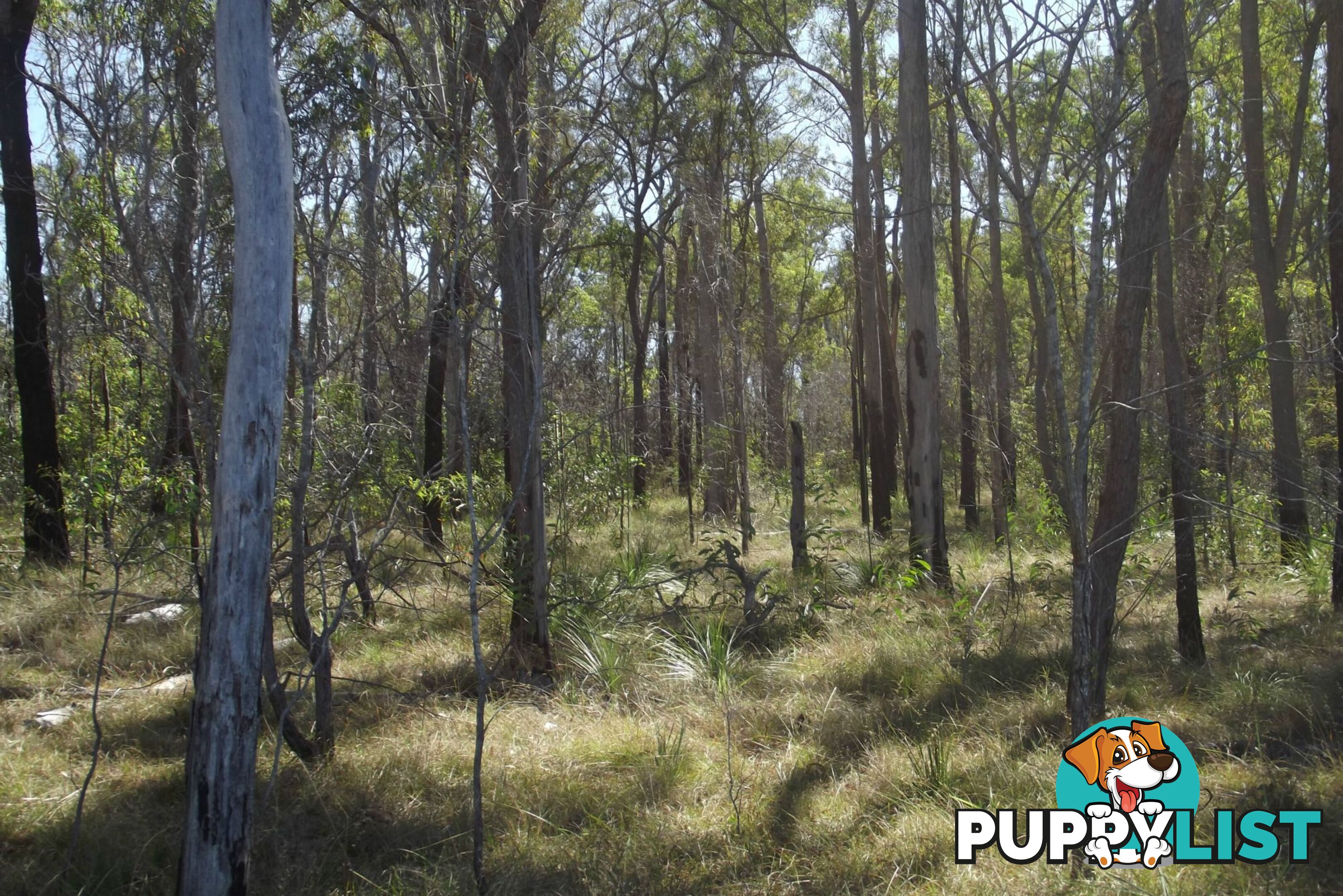 292 Marule Road Booyal QLD 4671