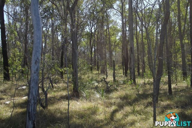 292 Marule Road Booyal QLD 4671