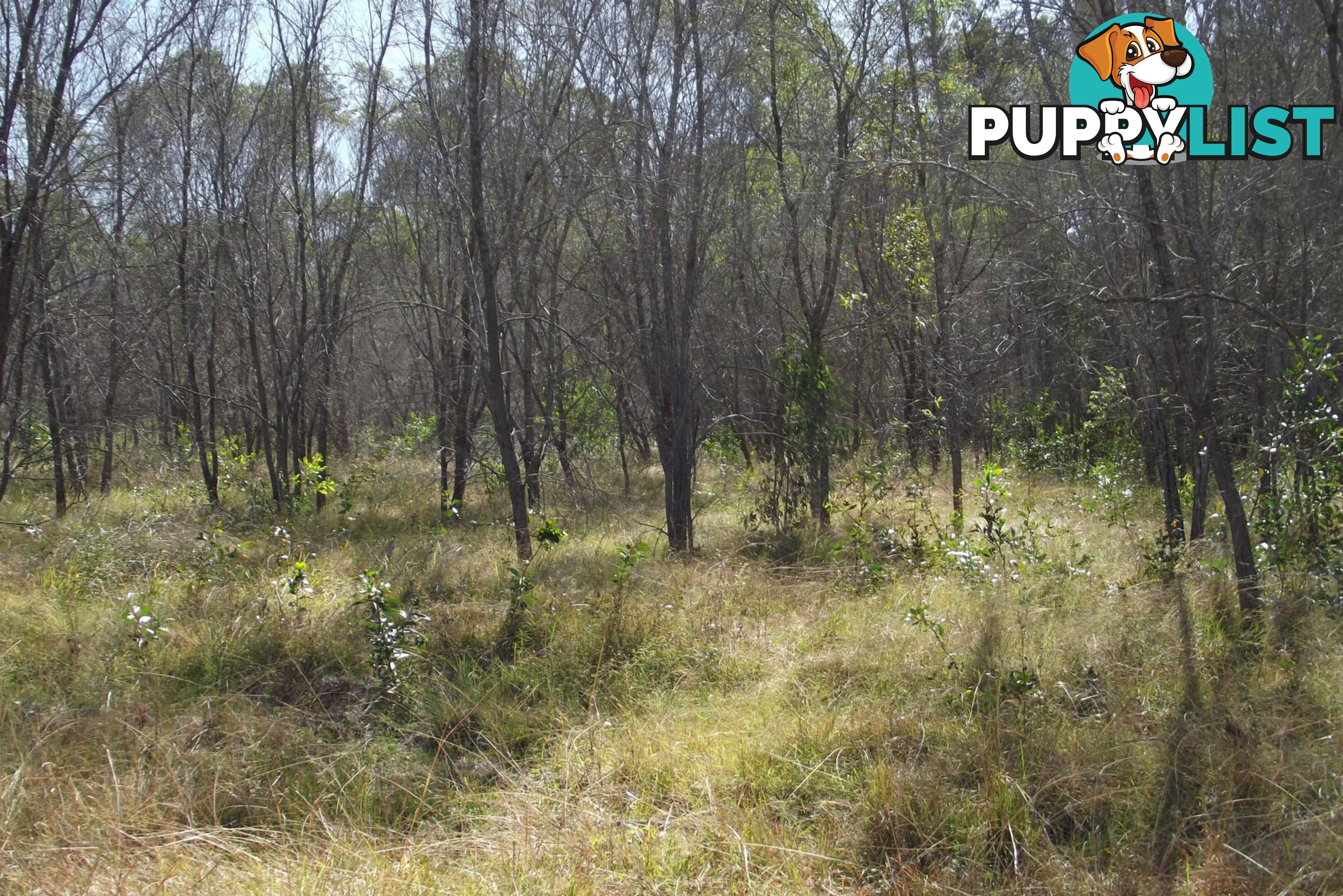 292 Marule Road Booyal QLD 4671