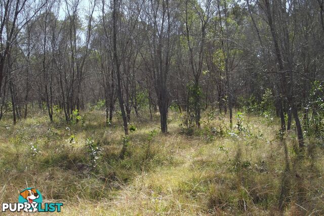 292 Marule Road Booyal QLD 4671