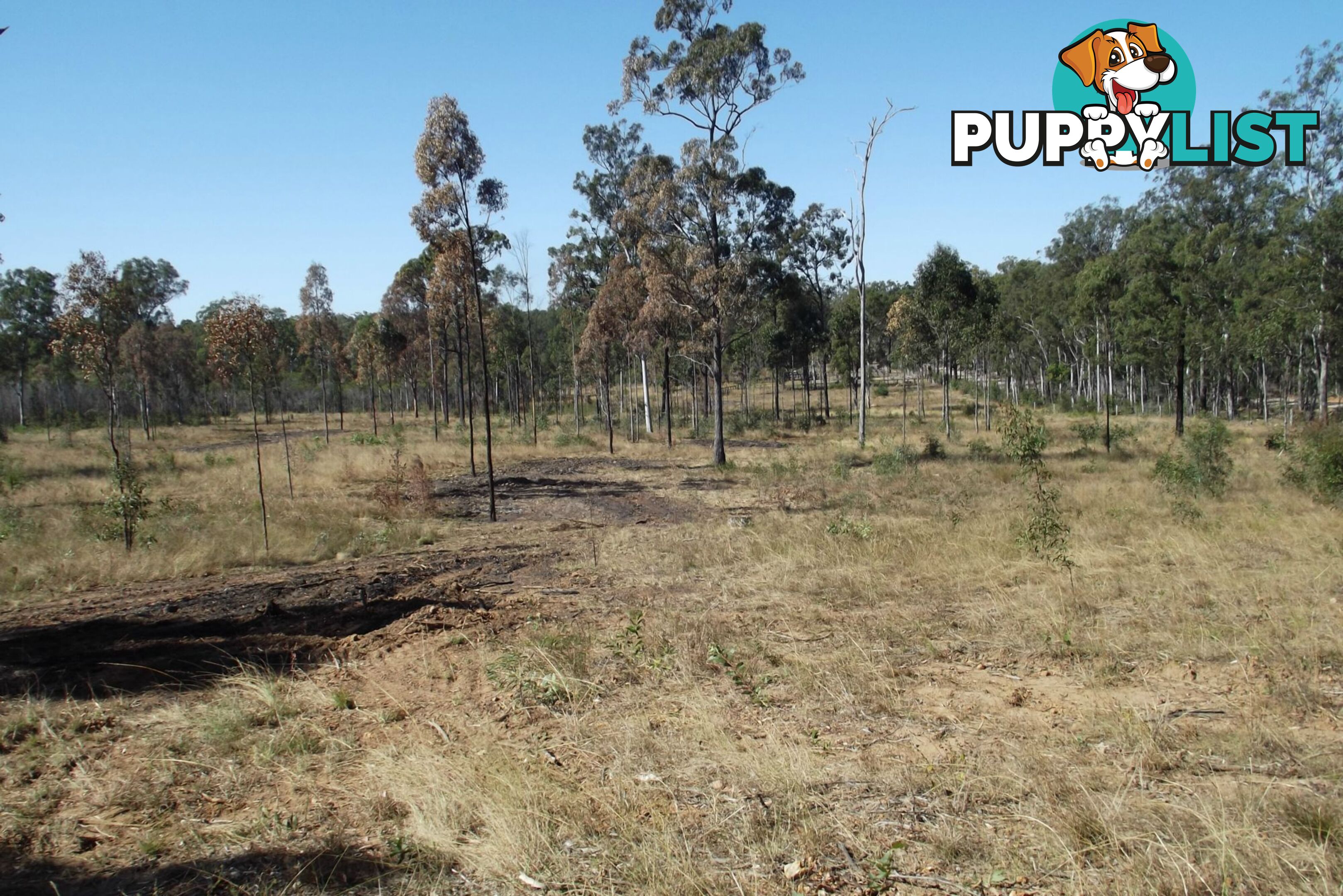 292 Marule Road Booyal QLD 4671