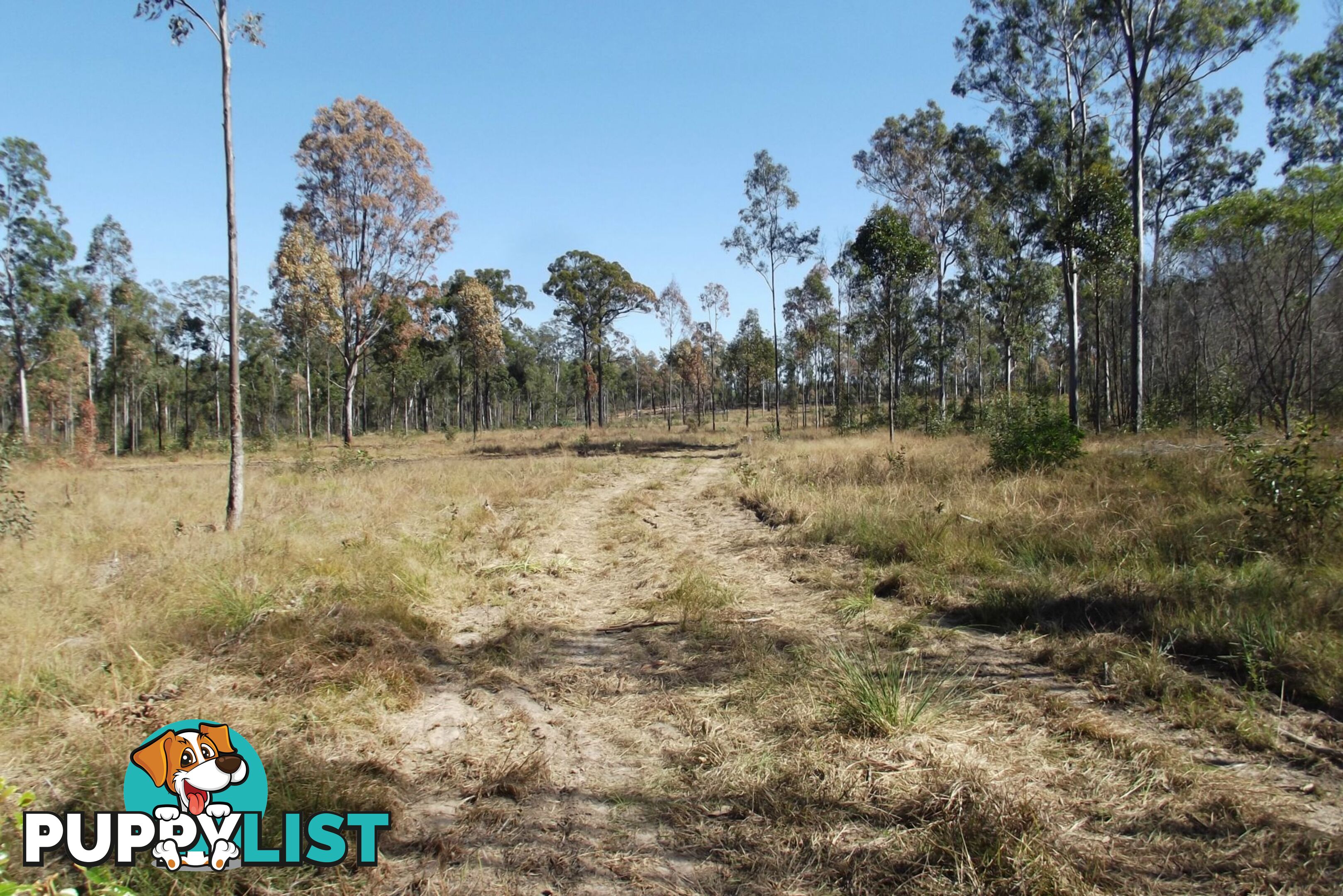 292 Marule Road Booyal QLD 4671