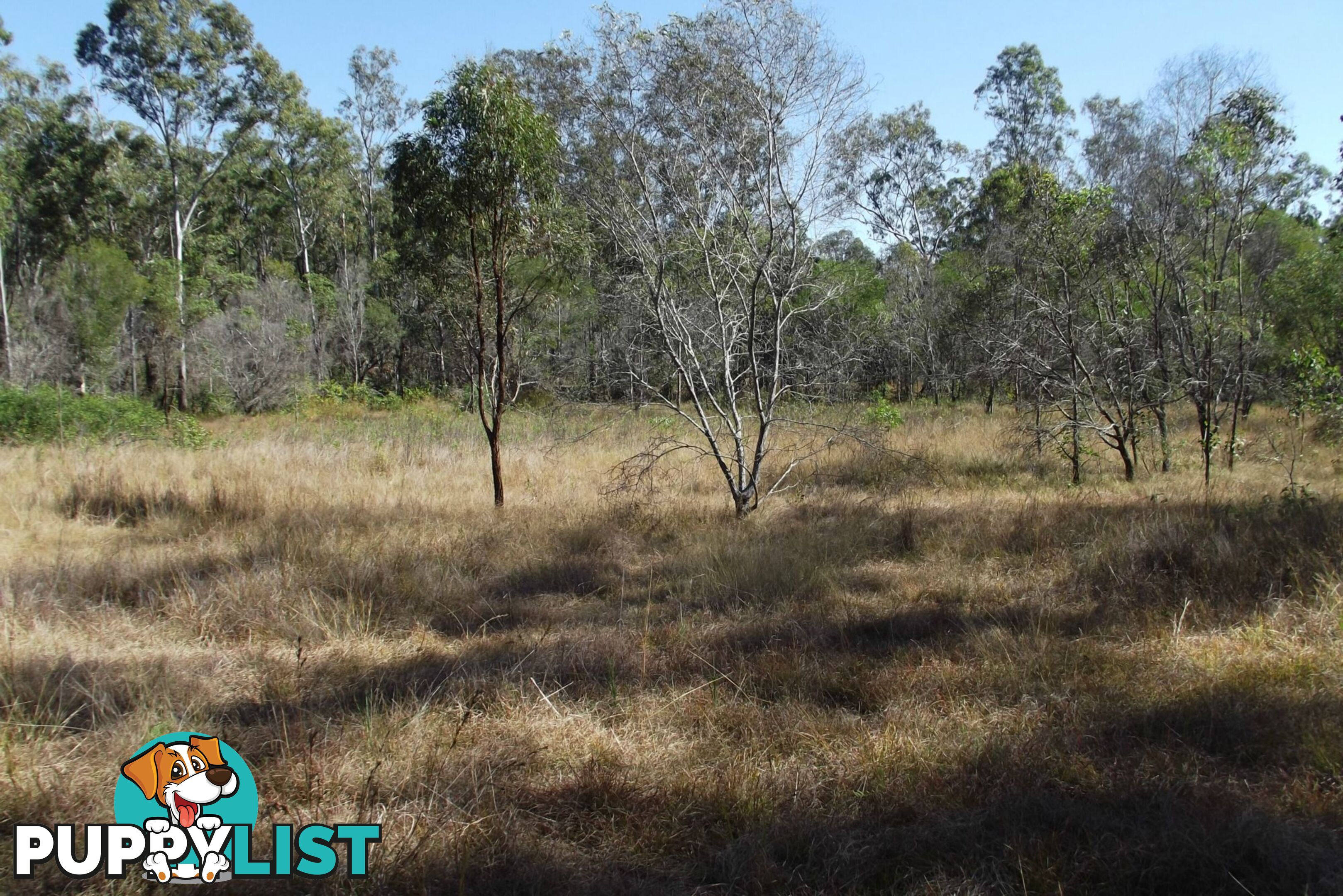 292 Marule Road Booyal QLD 4671