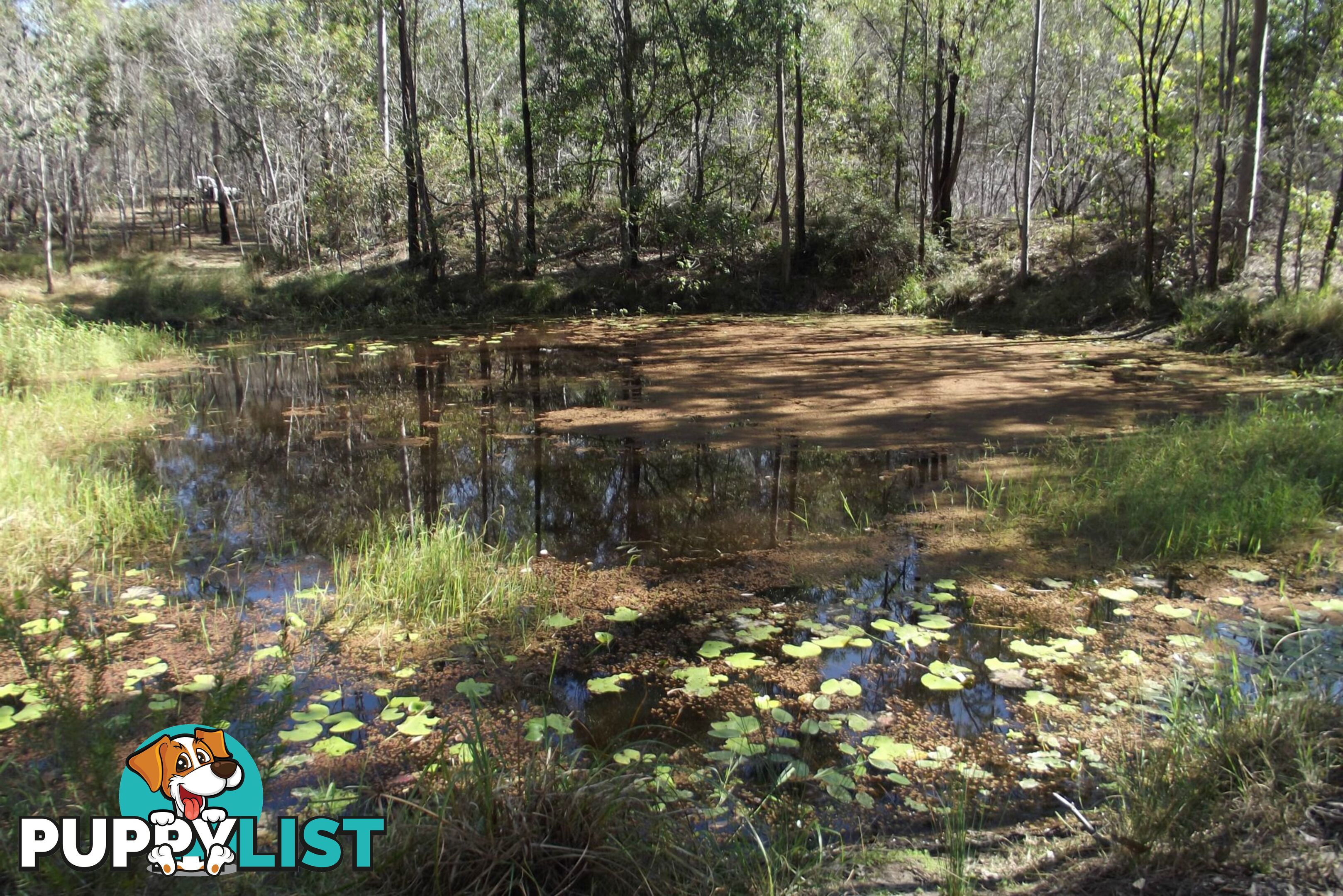 292 Marule Road Booyal QLD 4671