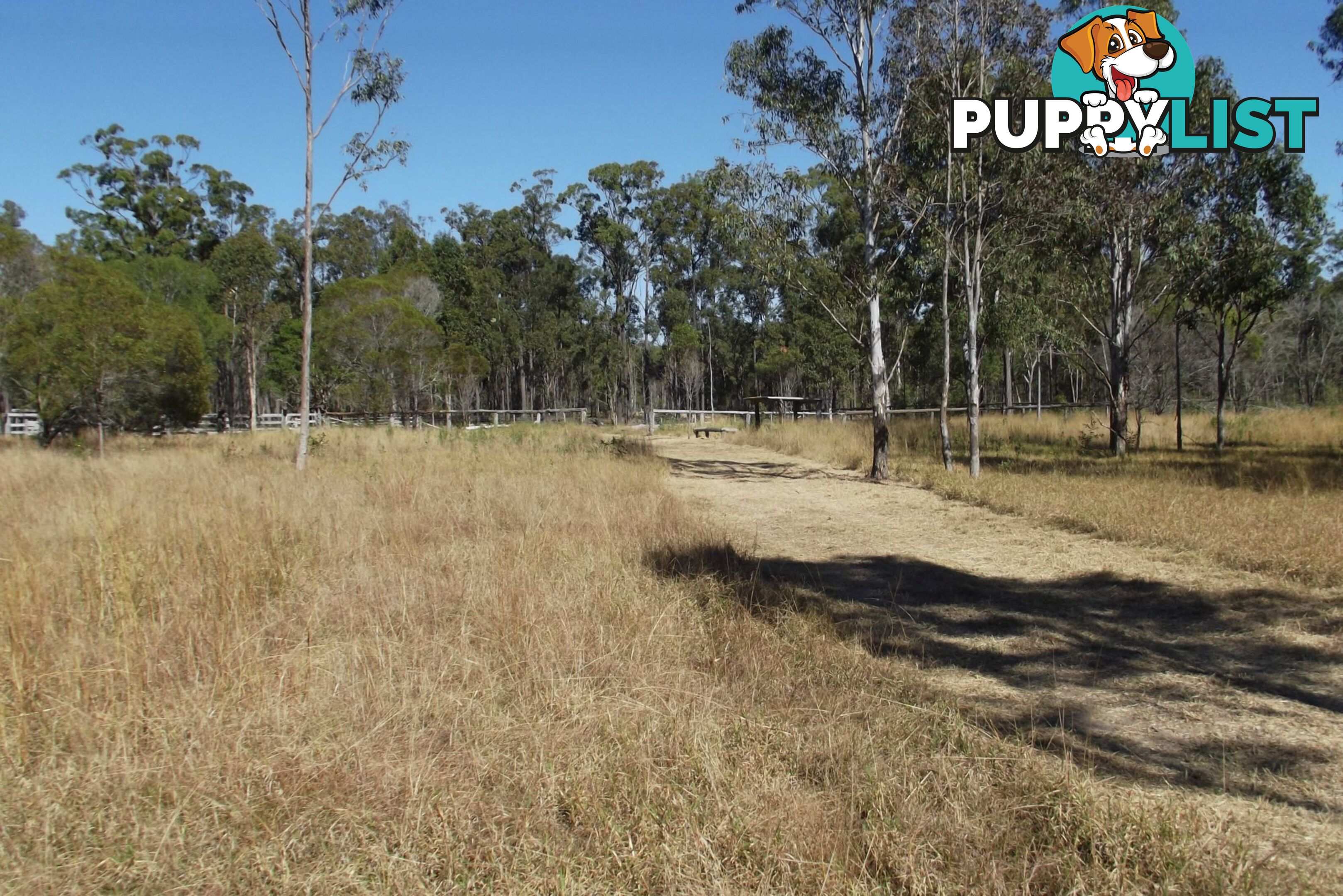 292 Marule Road Booyal QLD 4671
