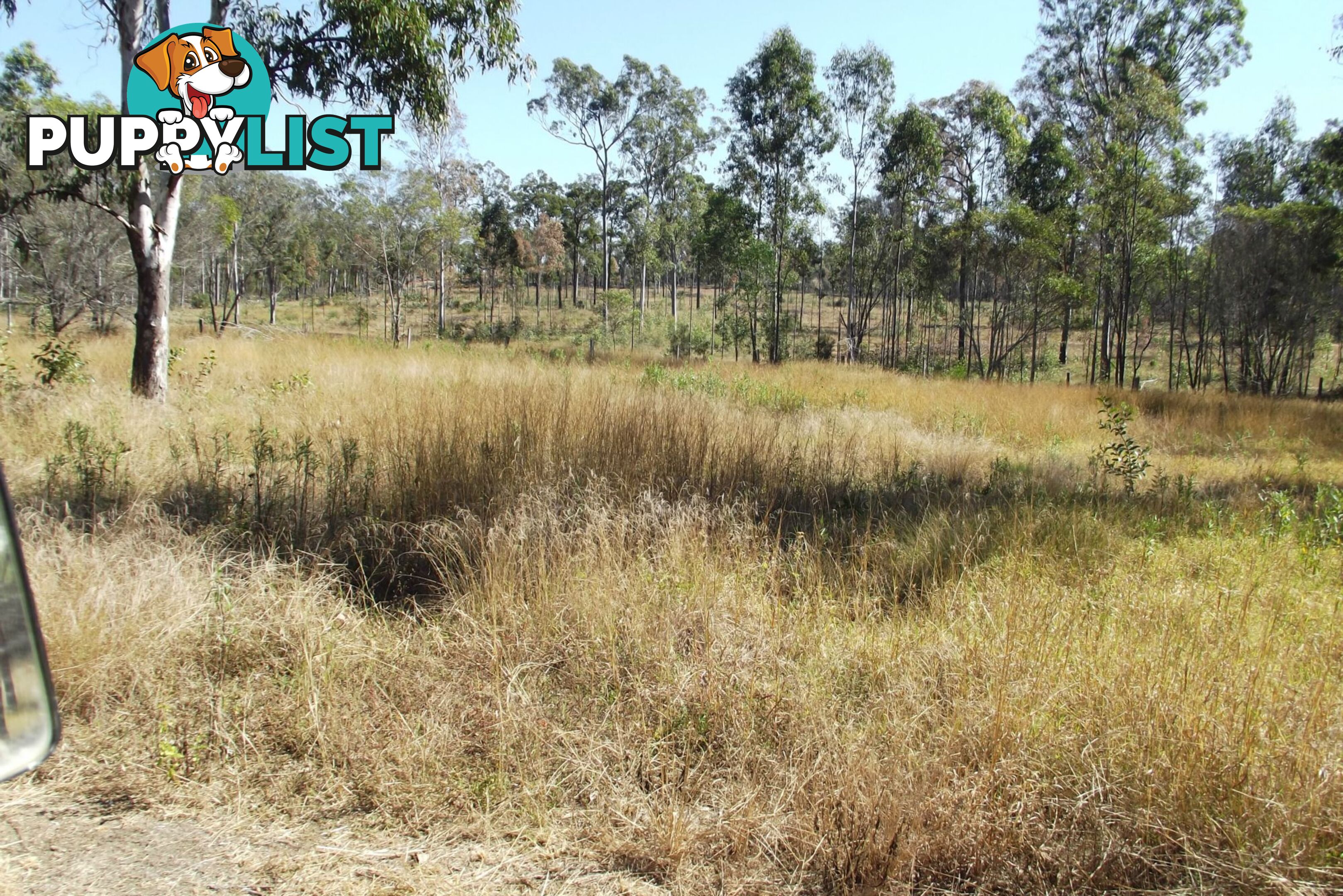 292 Marule Road Booyal QLD 4671