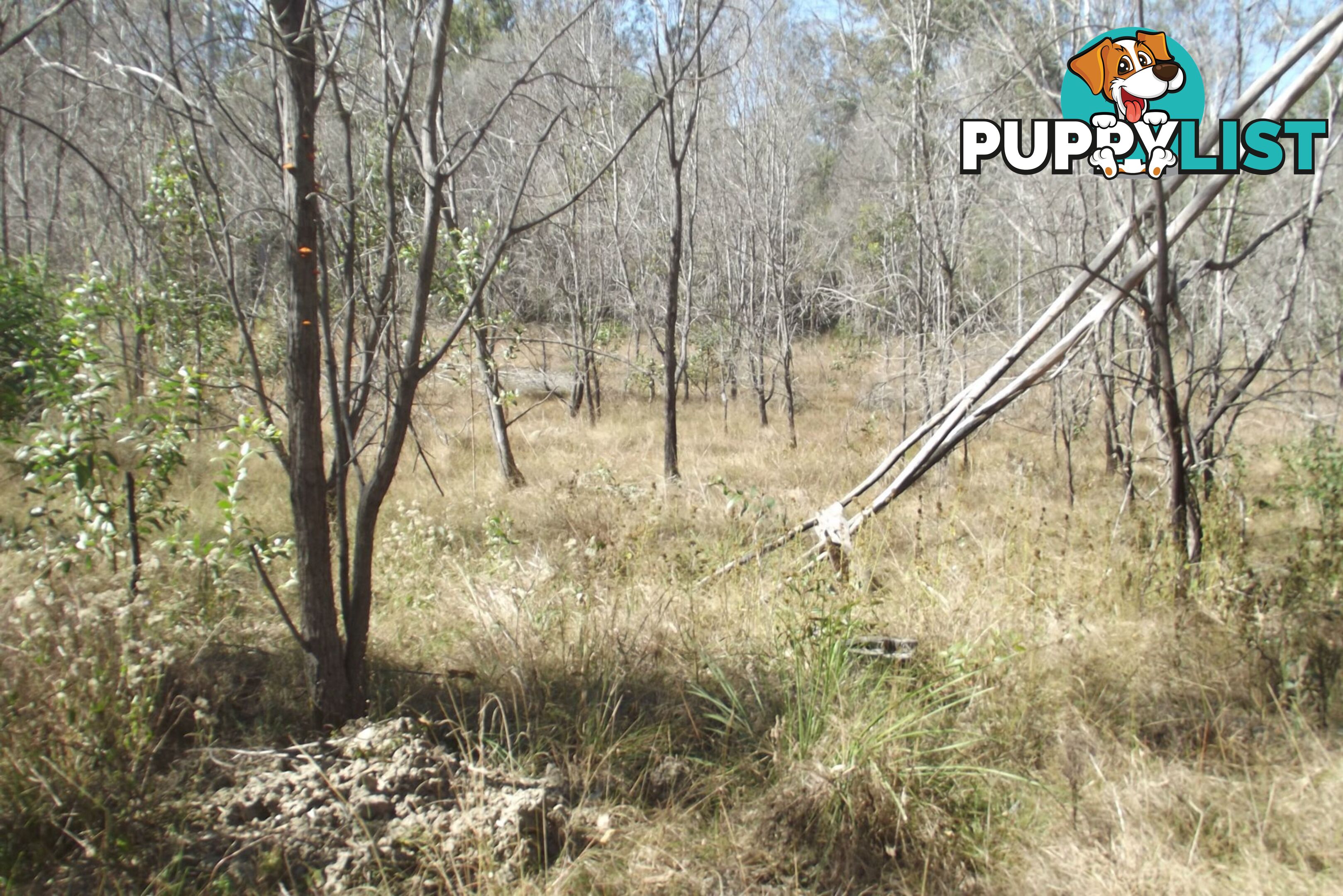 292 Marule Road Booyal QLD 4671