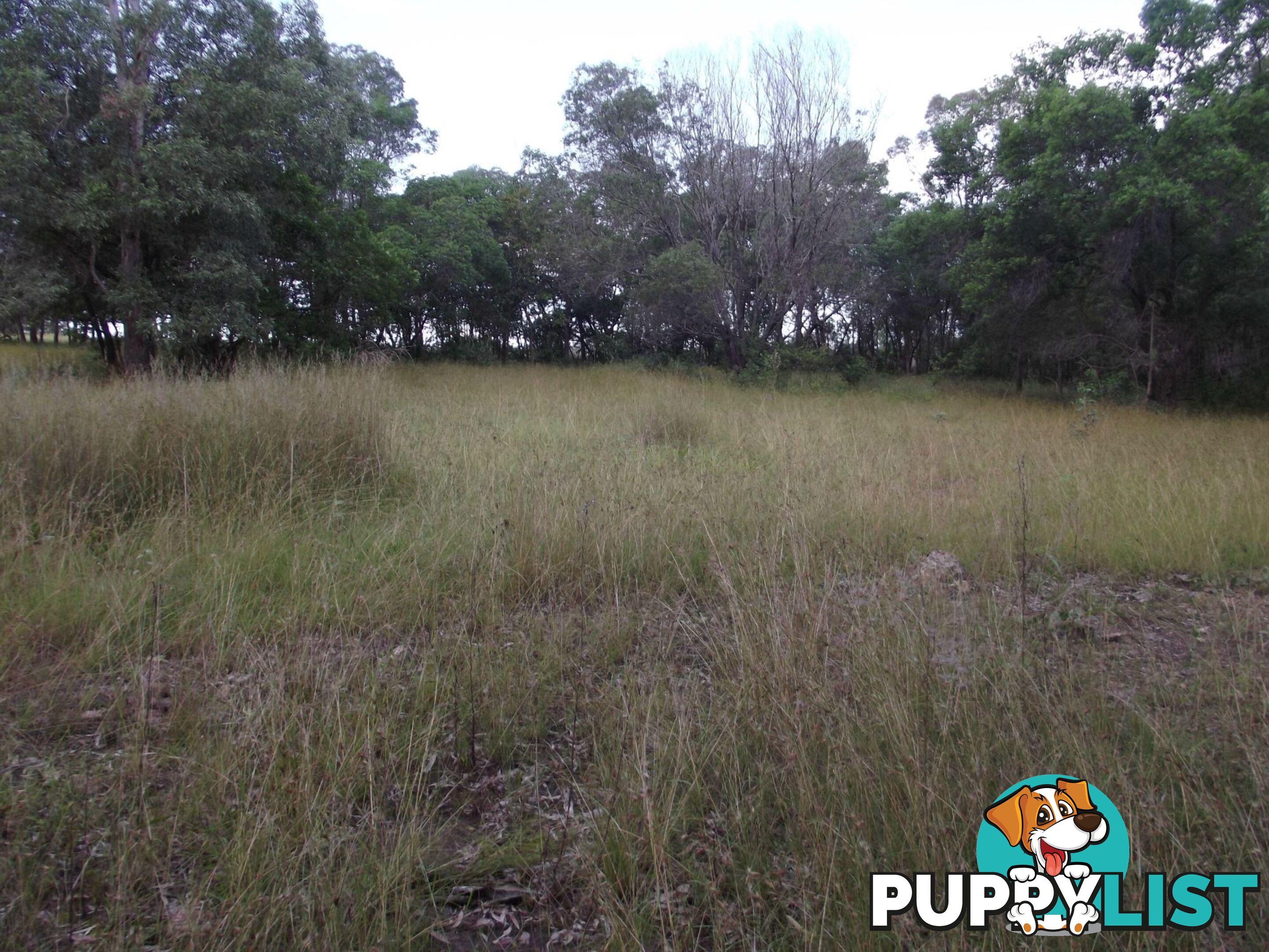 Lot 2 Cooks Road South Isis QLD 4660