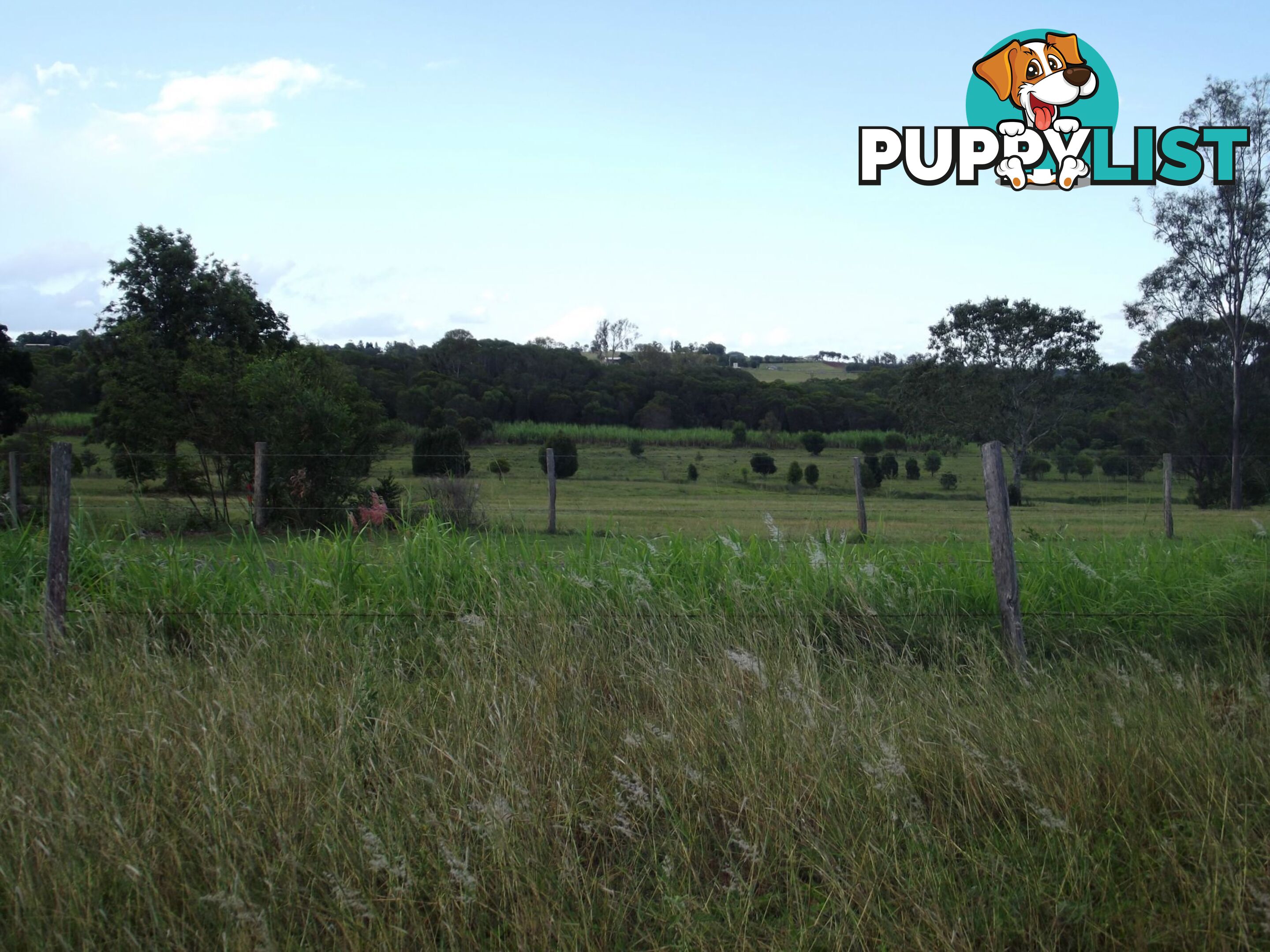 Lot 2 Cooks Road South Isis QLD 4660