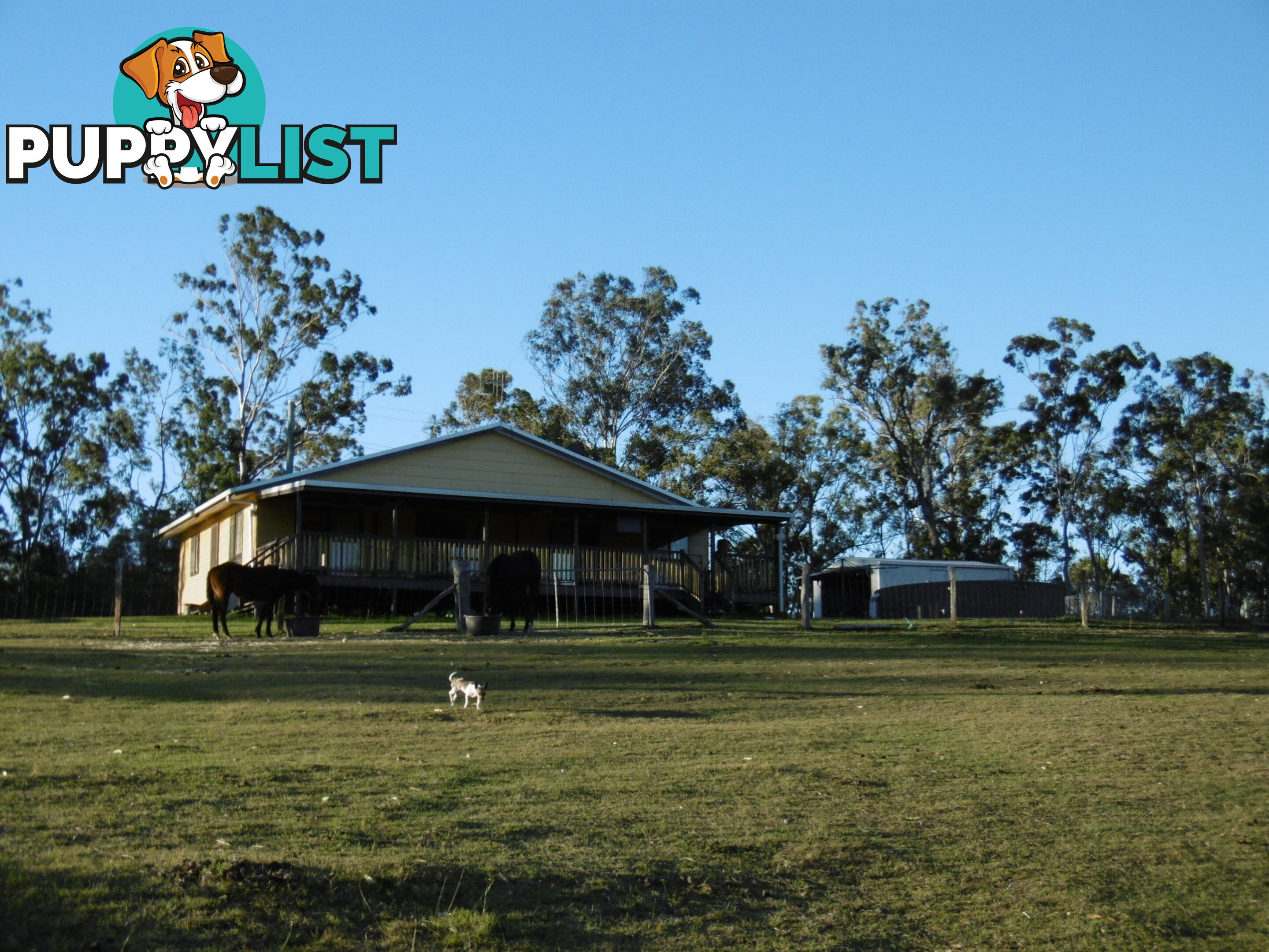 15 Gentle Annie Rd Apple Tree Creek QLD 4660