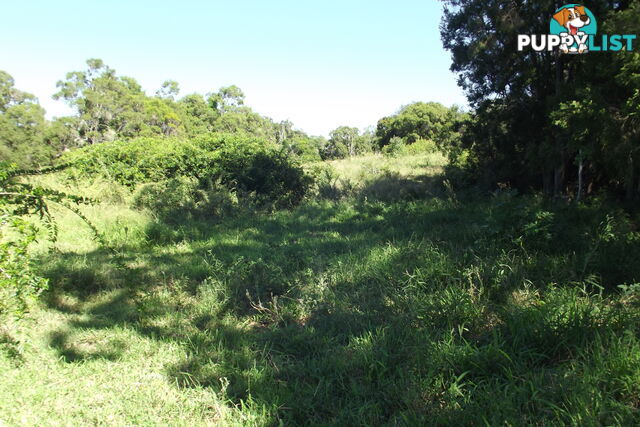 Lot 99 Wilsons Pitt Rd Dallarnil QLD 4621