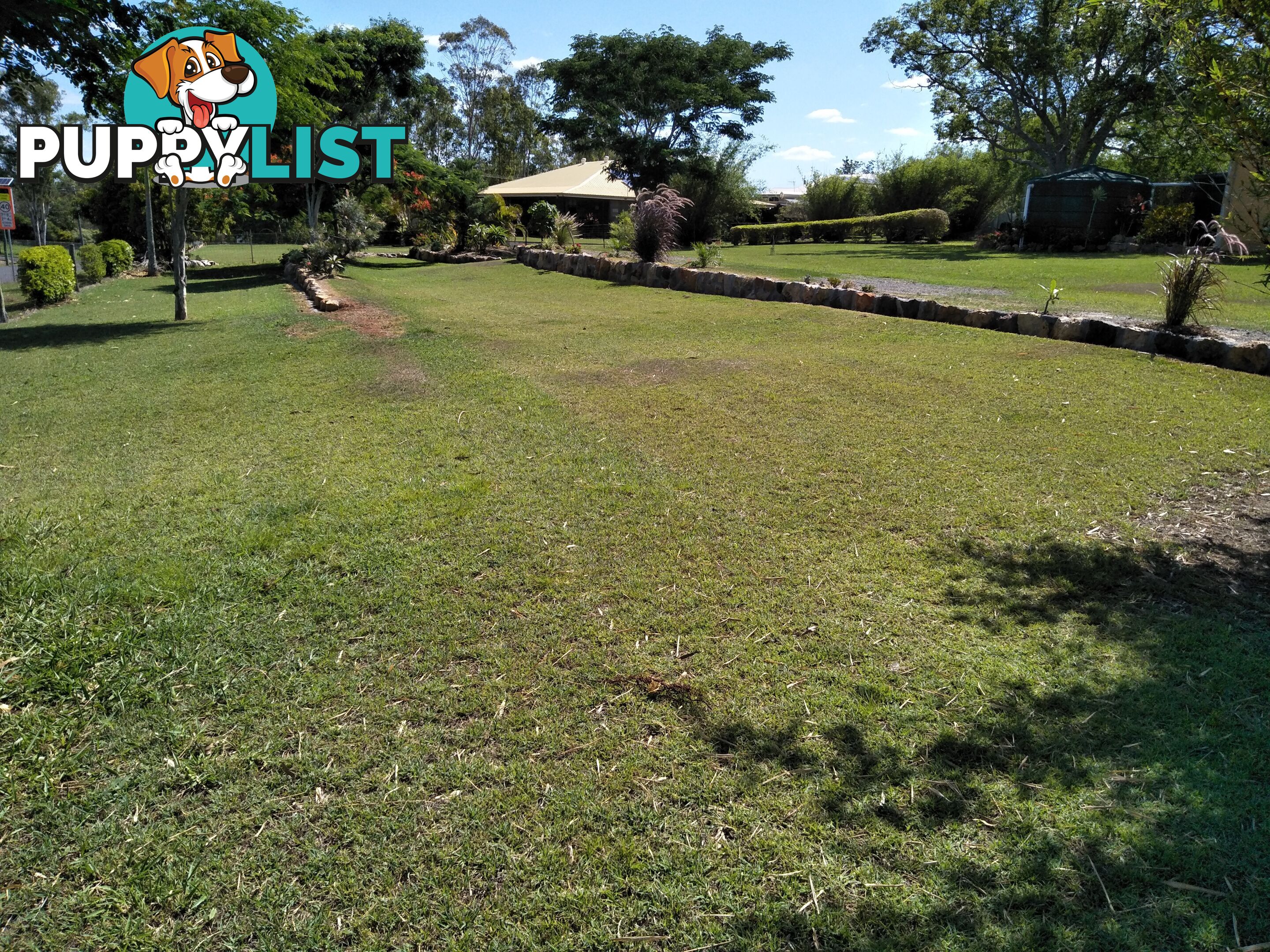 5 Norman St Cordalba QLD 4660