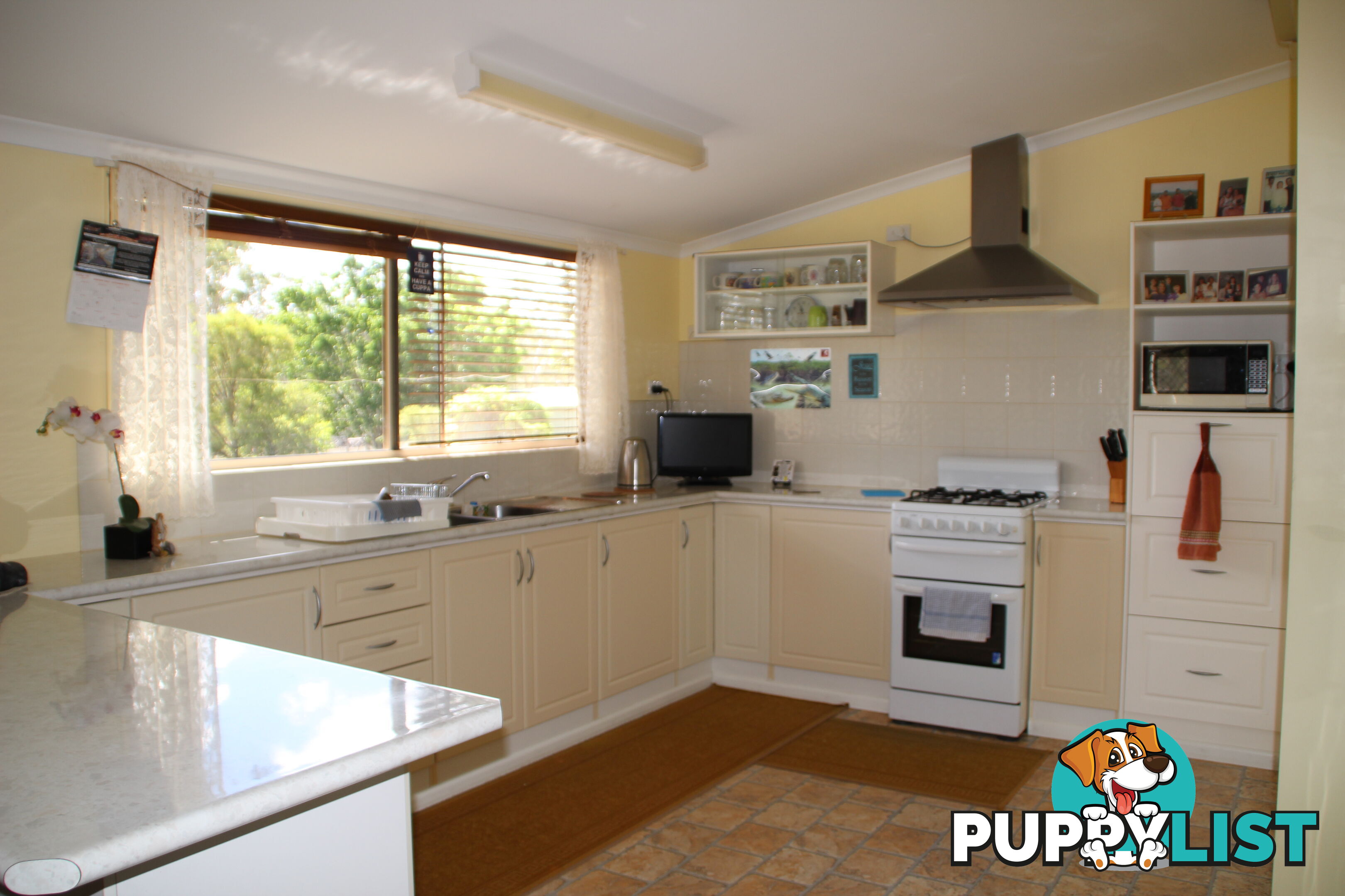 20 Buckholz Rd Eureka QLD 4660