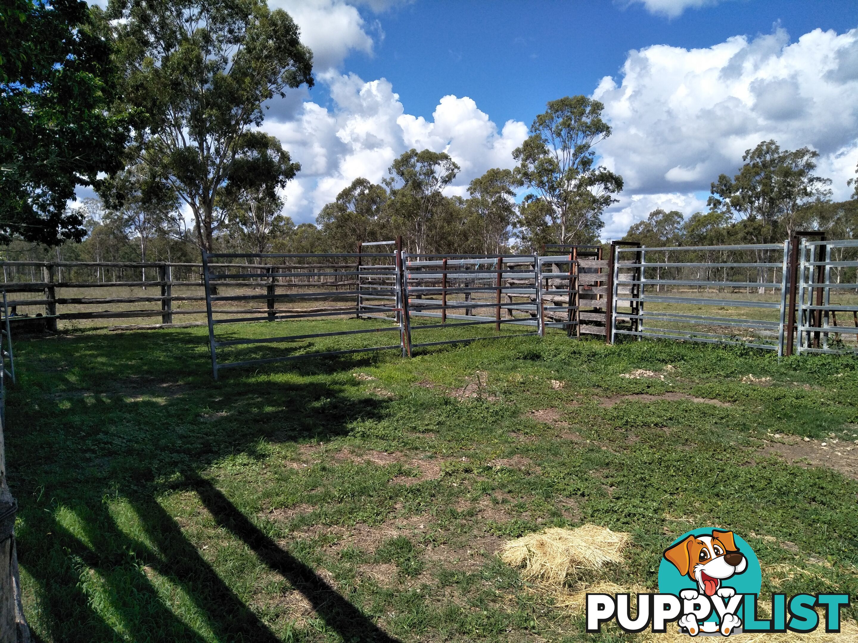 20 Buckholz Rd Eureka QLD 4660