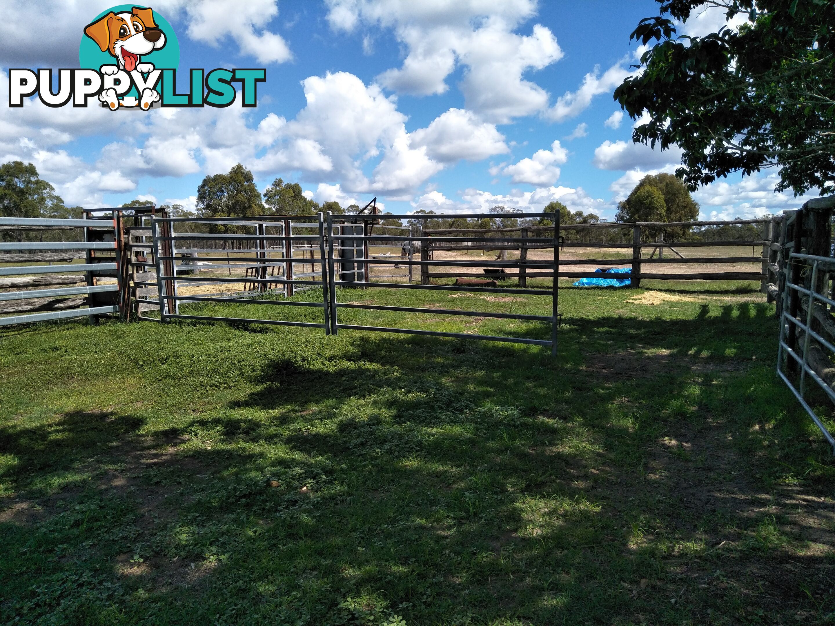 20 Buckholz Rd Eureka QLD 4660