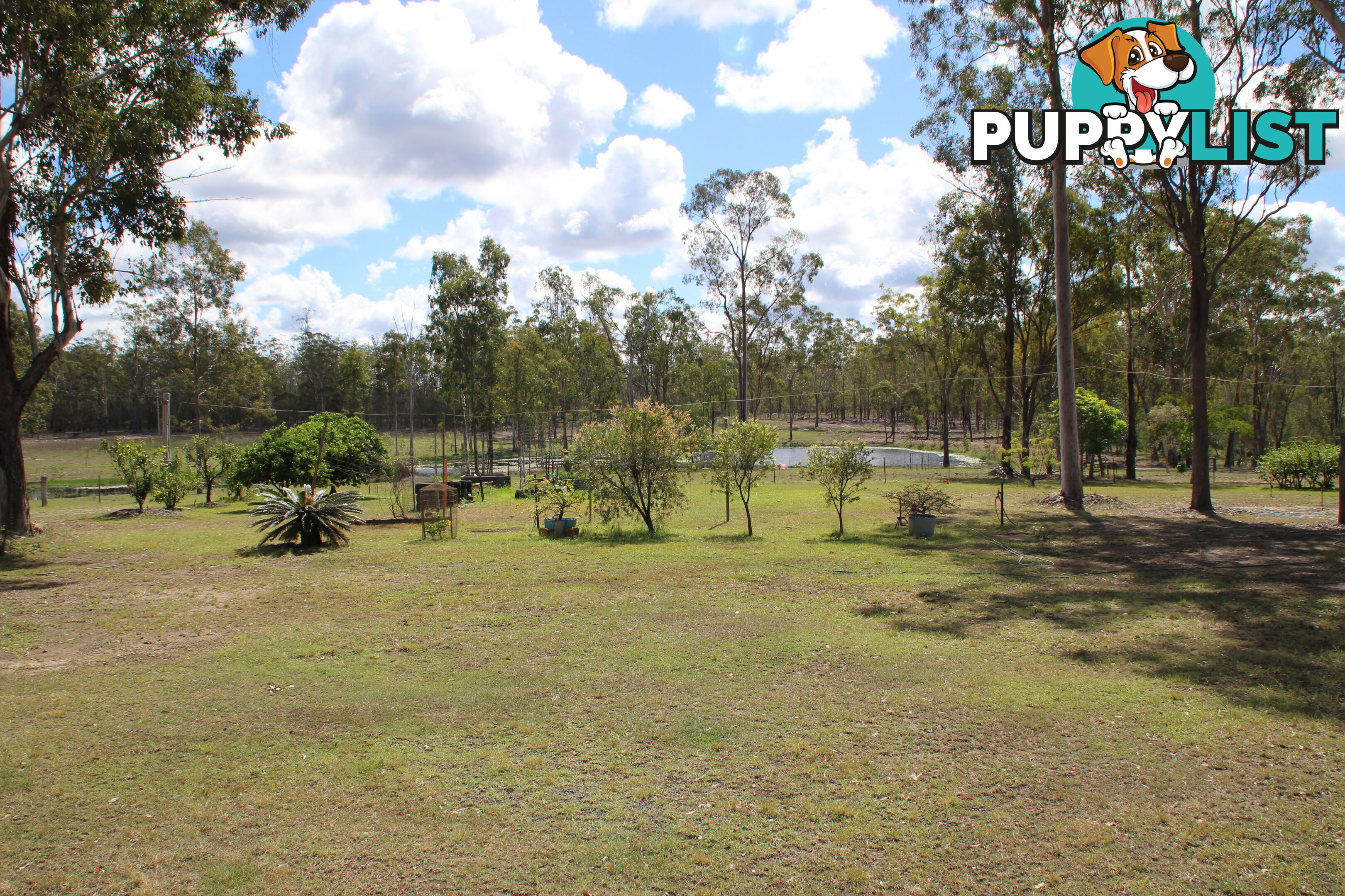 20 Buckholz Rd Eureka QLD 4660