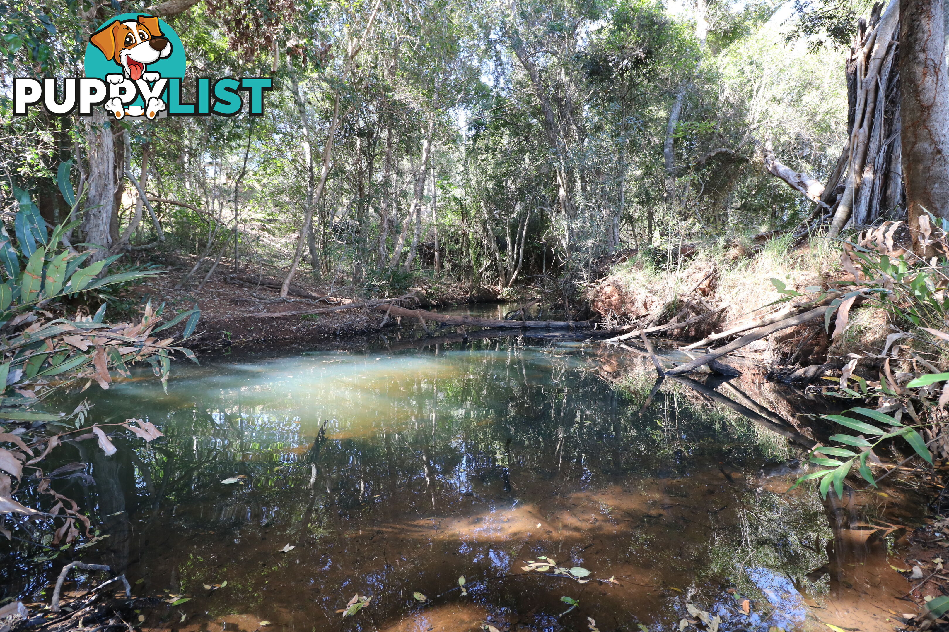 Lot 3 South Isis Road South Isis QLD 4660