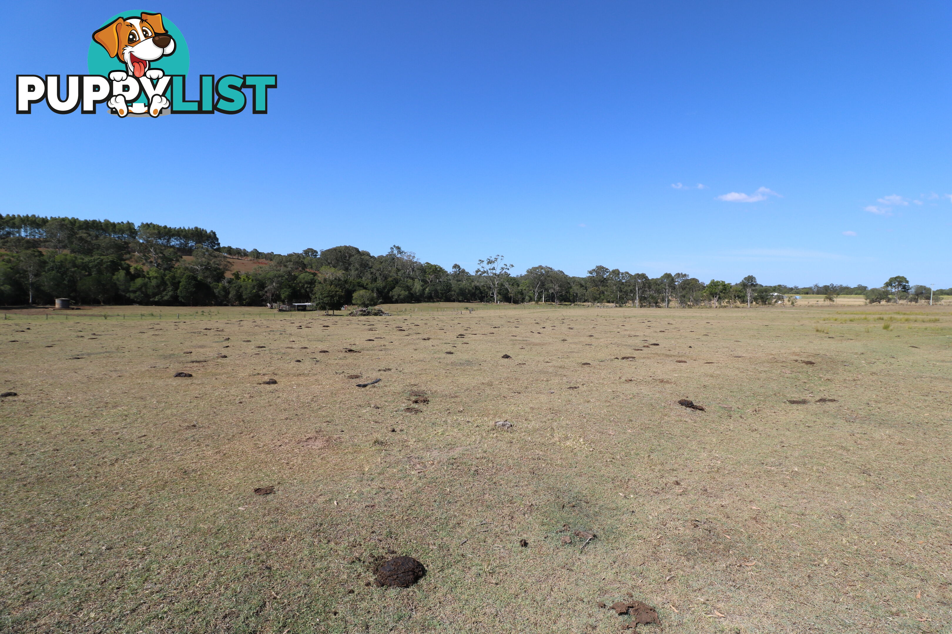 Lot 3 South Isis Road South Isis QLD 4660