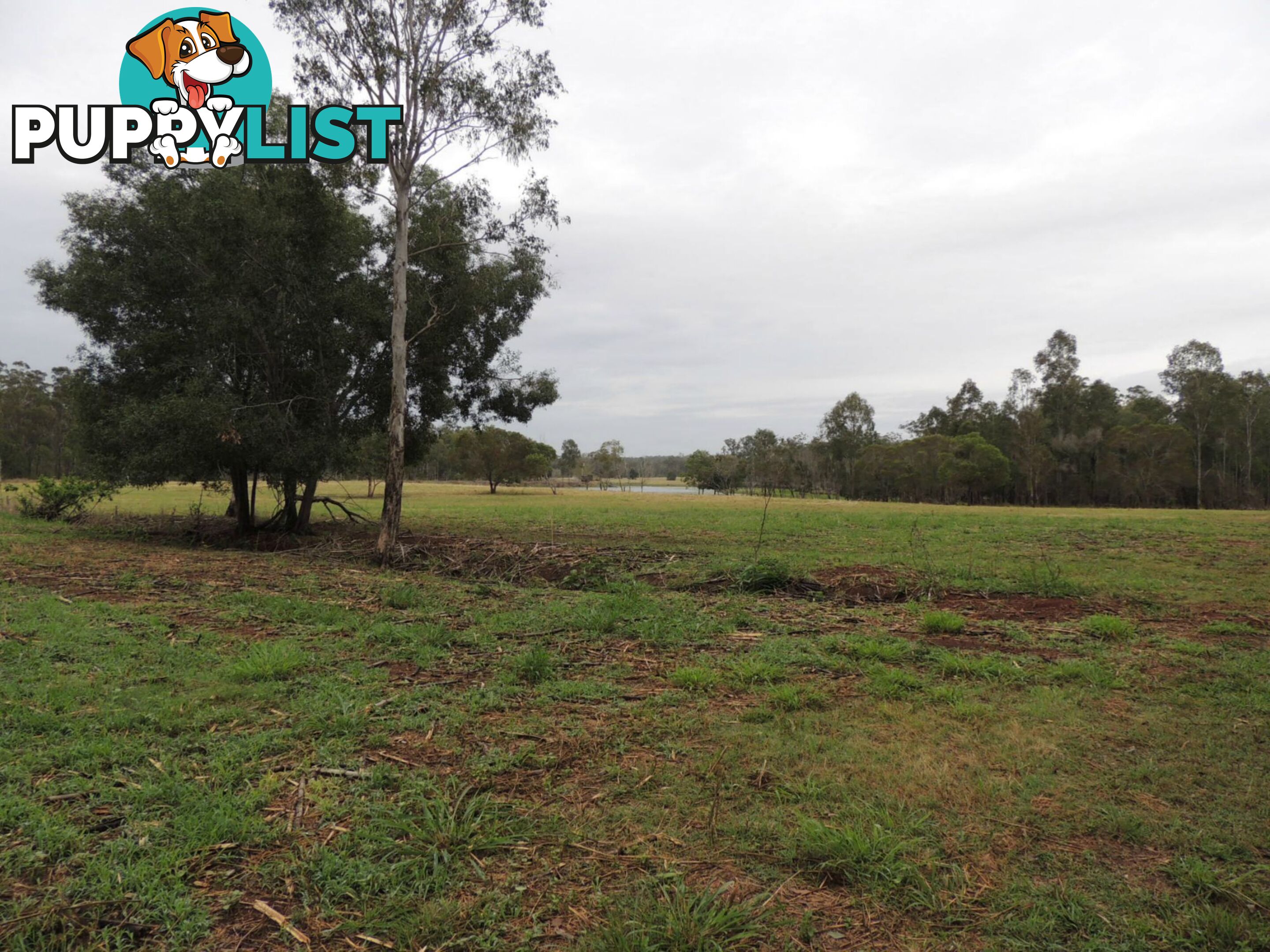 82 Abington Road, Childers Abington QLD 4660