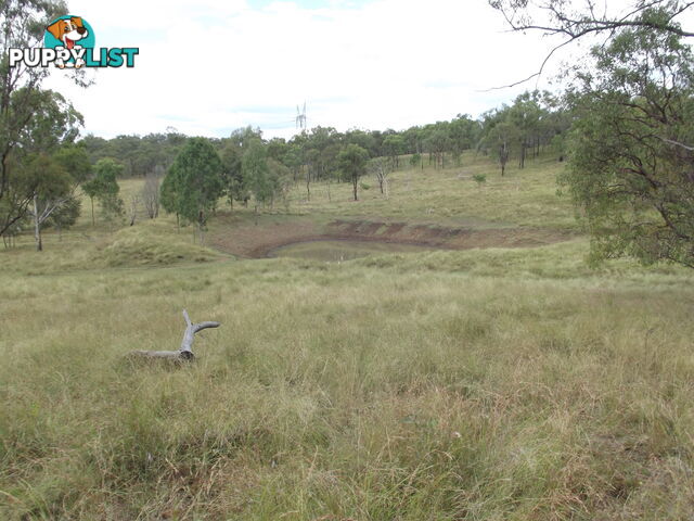 Golden Fleece QLD 4621