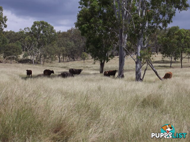 Golden Fleece QLD 4621