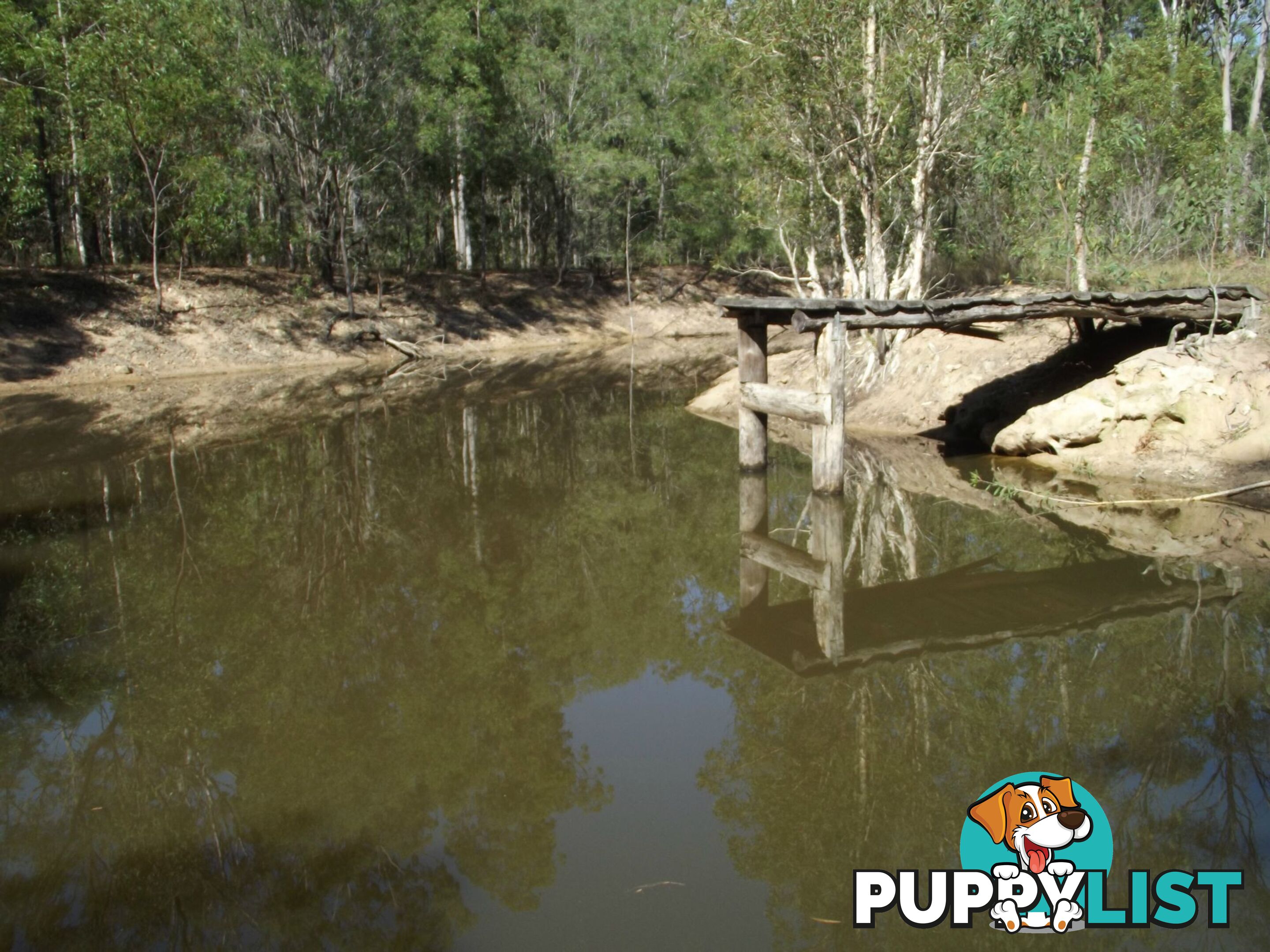 73 Howards Rd Apple Tree Creek QLD 4660