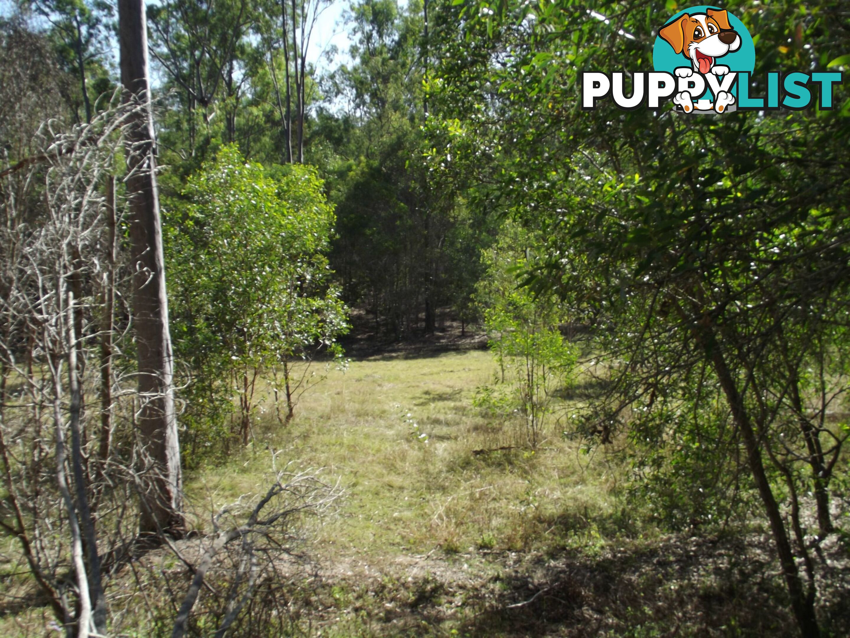 73 Howards Rd Apple Tree Creek QLD 4660