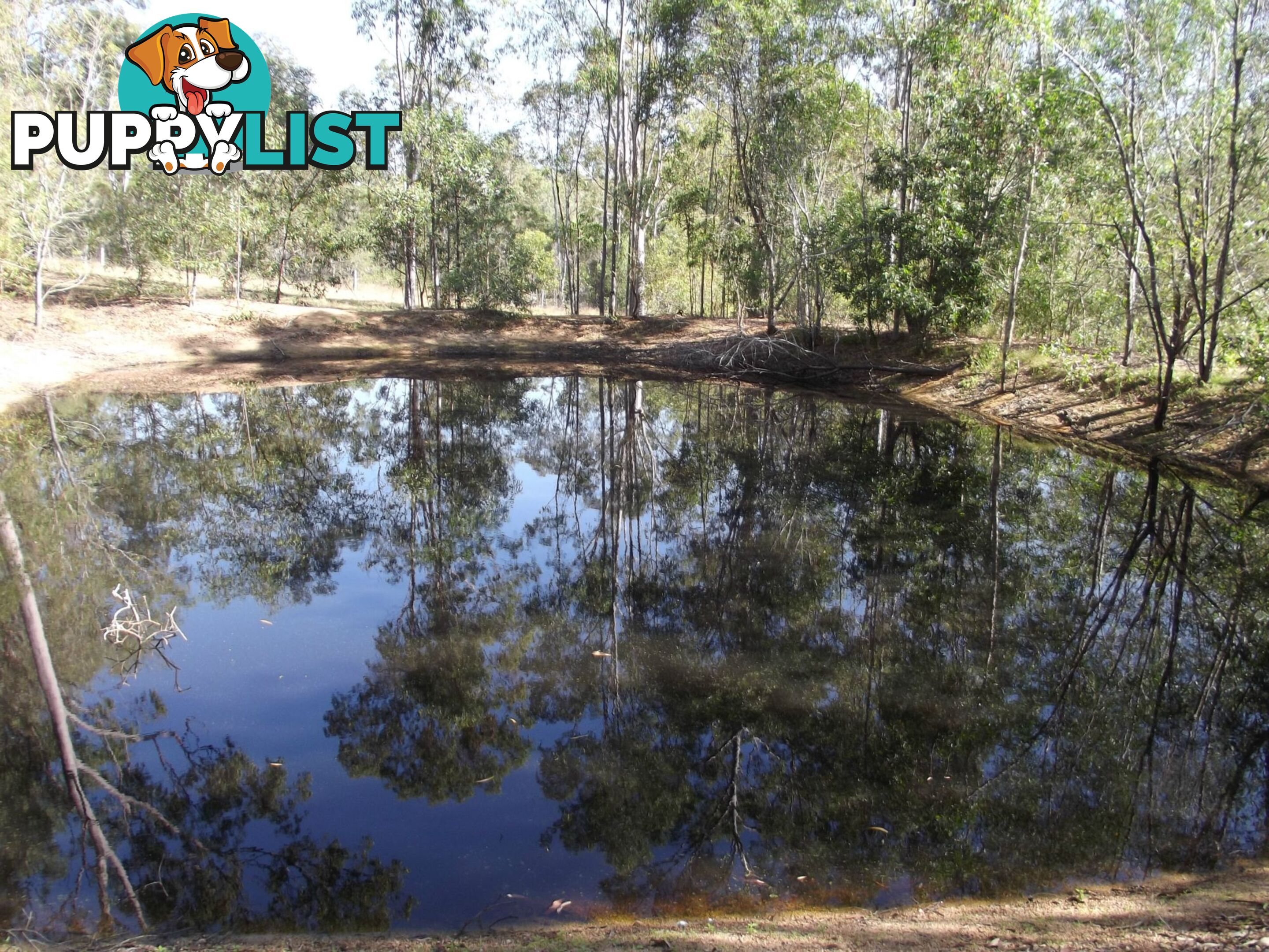 73 Howards Rd Apple Tree Creek QLD 4660