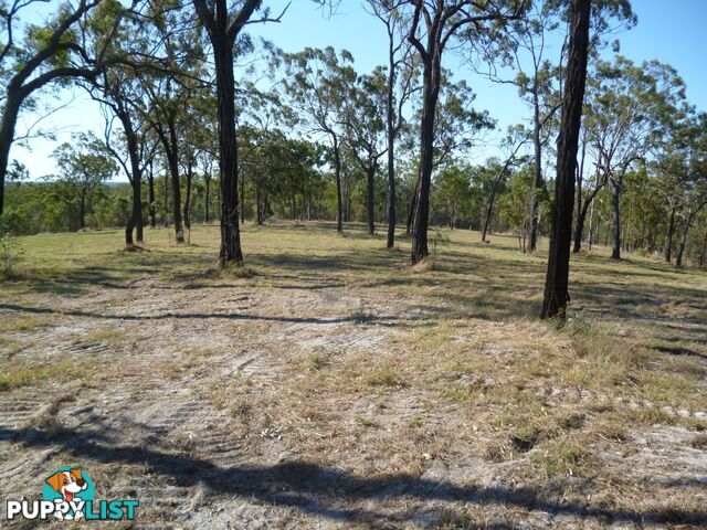 553 BERRIES Road Kullogum QLD 4660