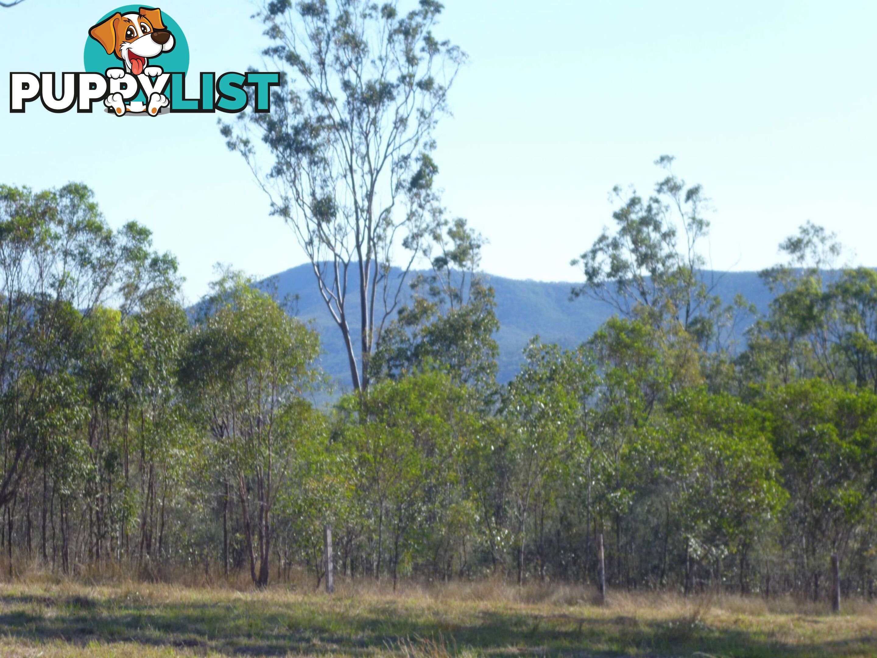 553 BERRIES Road Kullogum QLD 4660