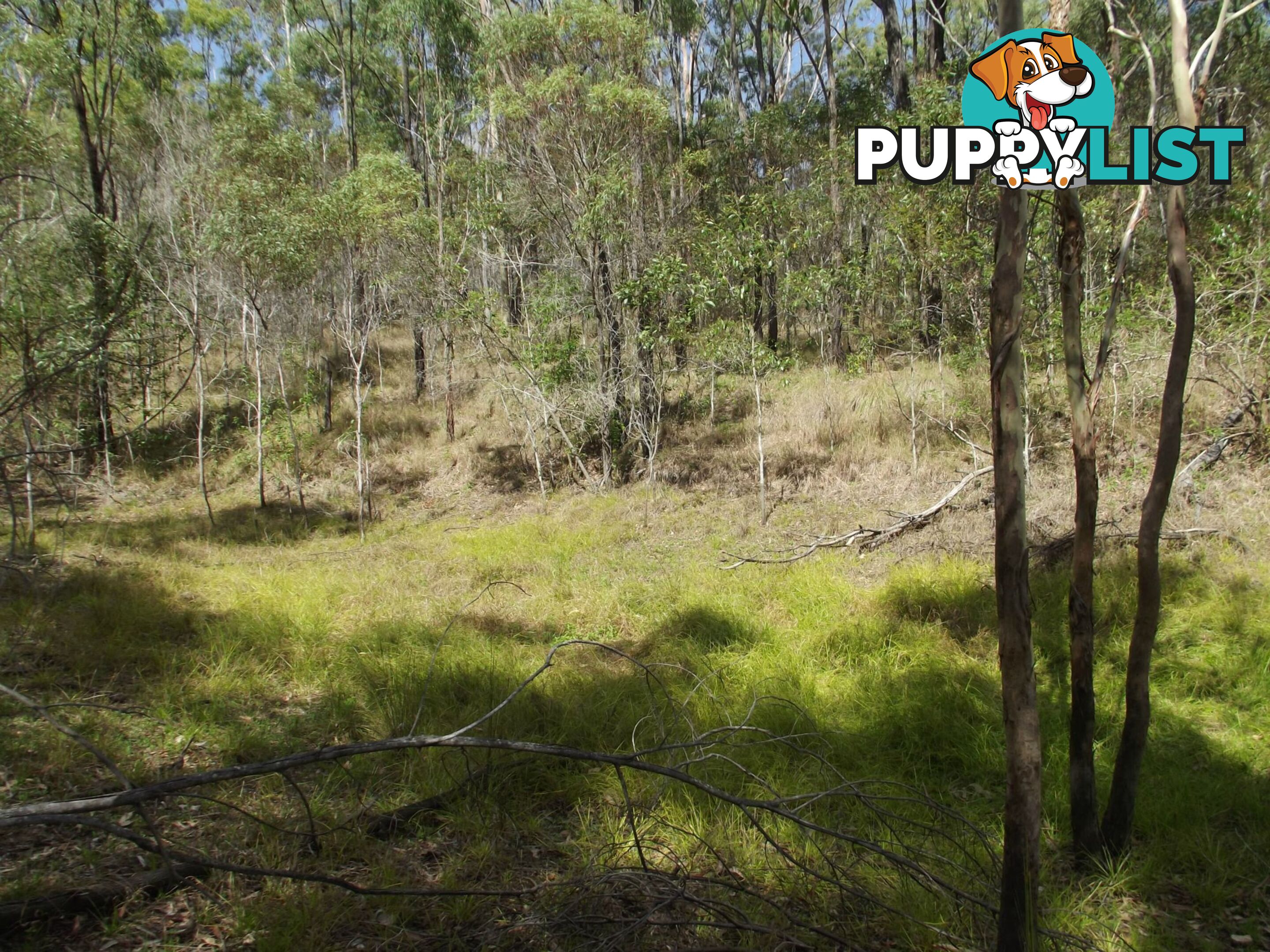 553 BERRIES Road Kullogum QLD 4660