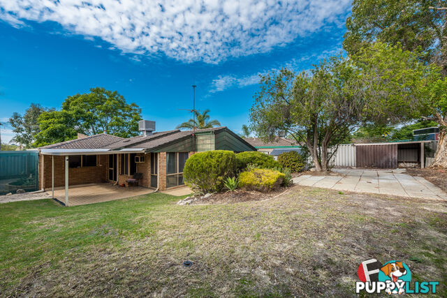 8 Tinsel Pl Mirrabooka WA 6061