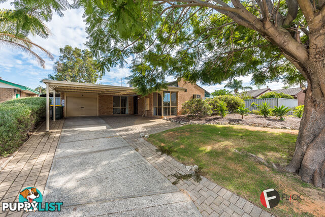 8 Tinsel Pl Mirrabooka WA 6061