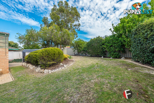 8 Tinsel Pl Mirrabooka WA 6061