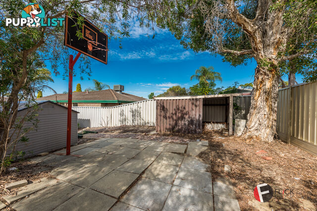 8 Tinsel Pl Mirrabooka WA 6061