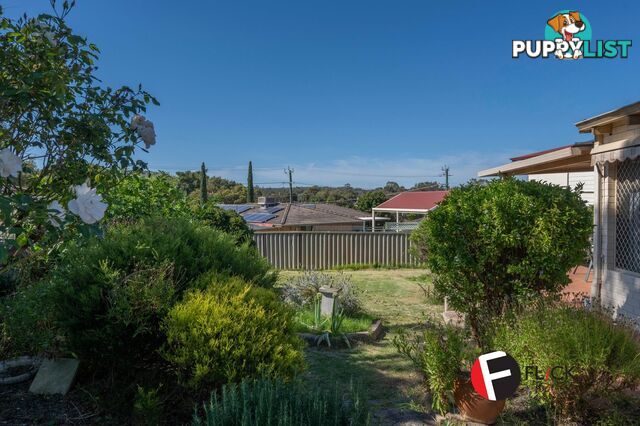 16 Fairfax Road Swan View WA 6056