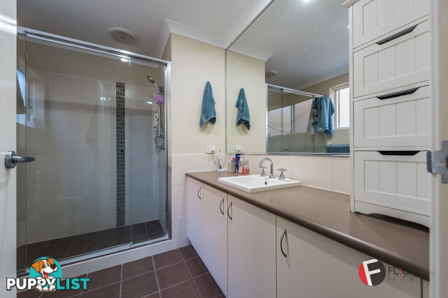 175 Carnarvon St East Victoria Park WA 6101