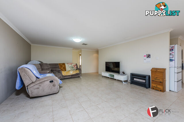 31 Bodorgan Ave Butler WA 6036