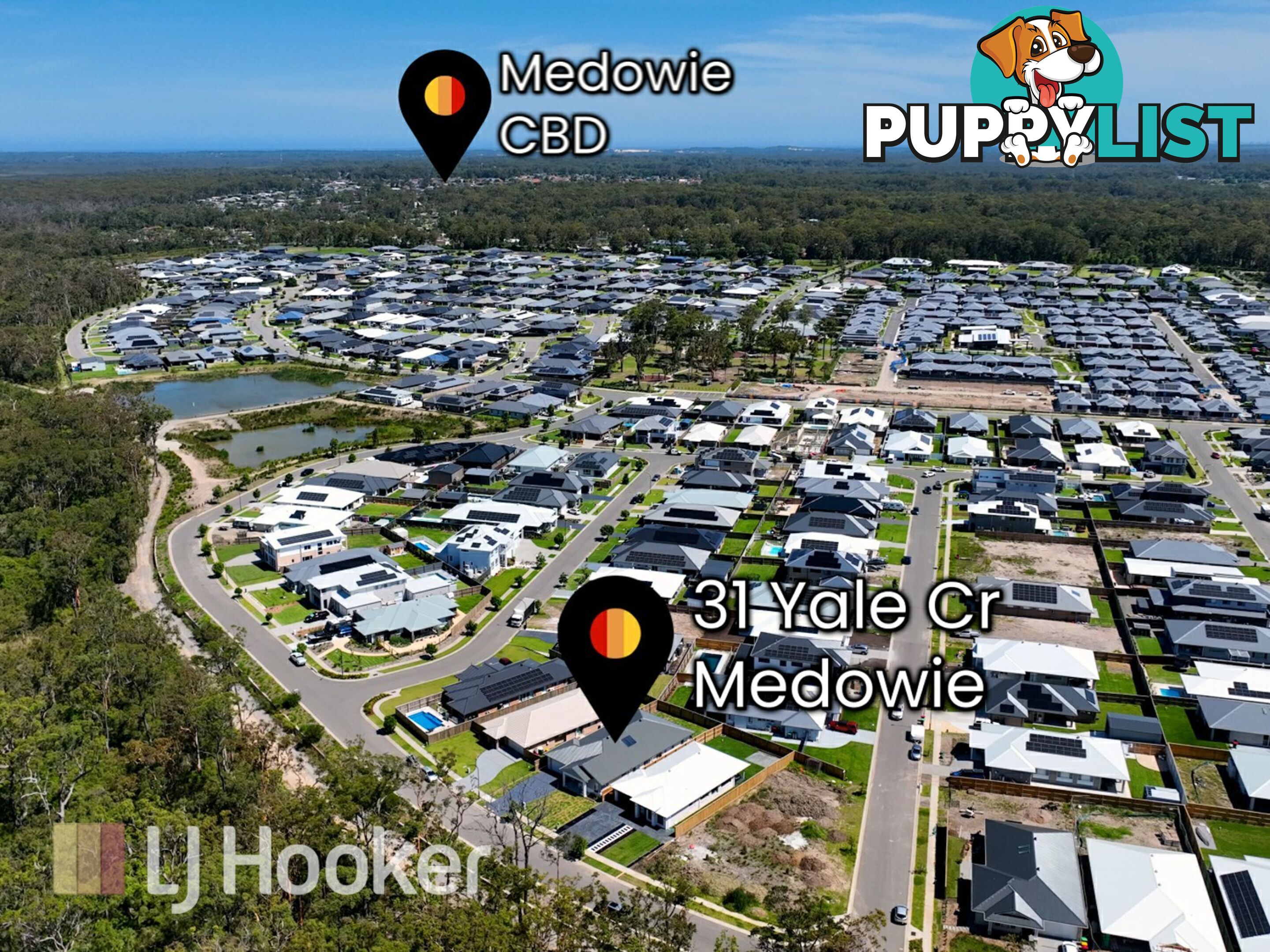 31 Yale Crescent MEDOWIE NSW 2318