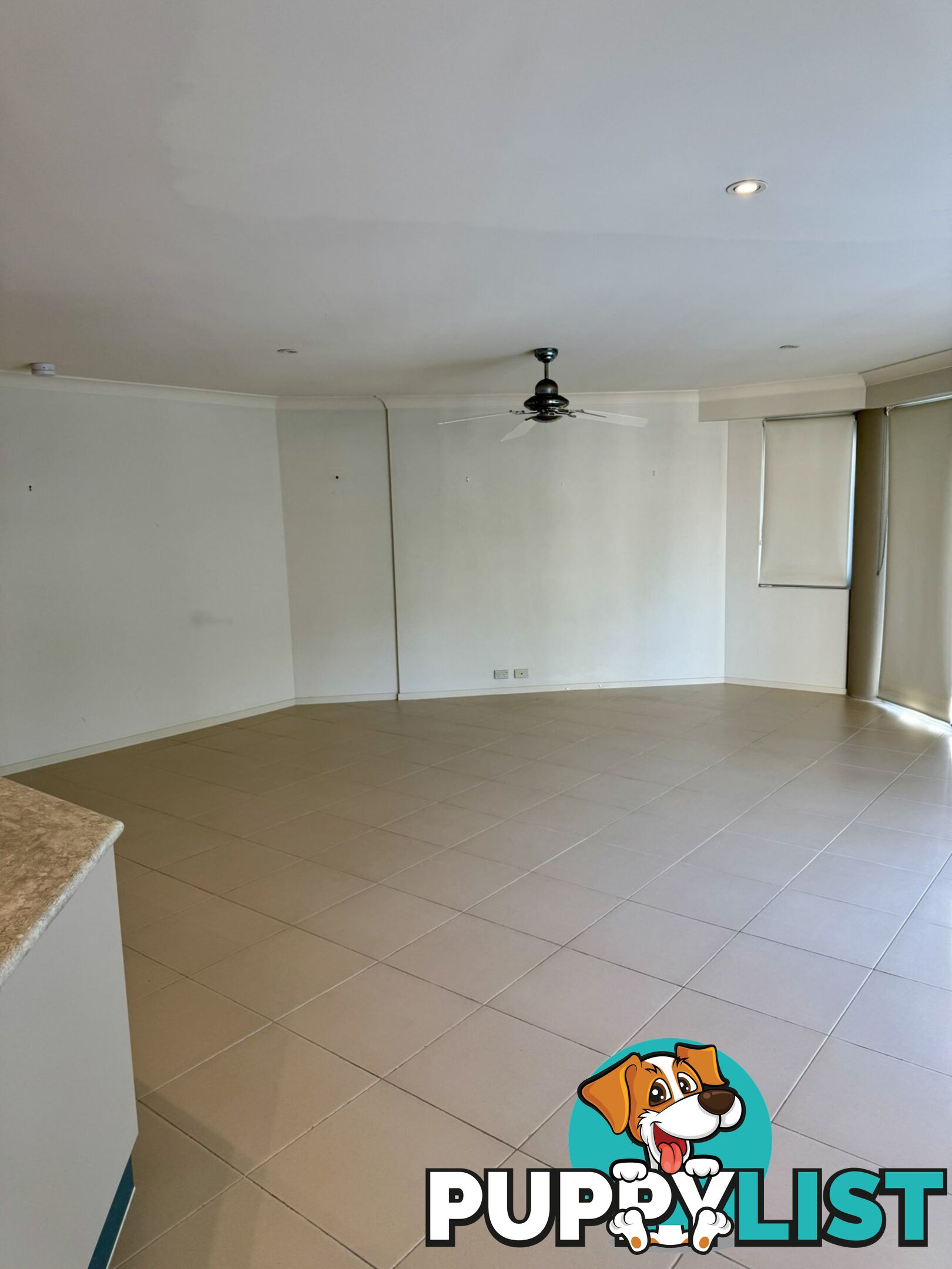 Unit 6/153 Government Road CORLETTE NSW 2315