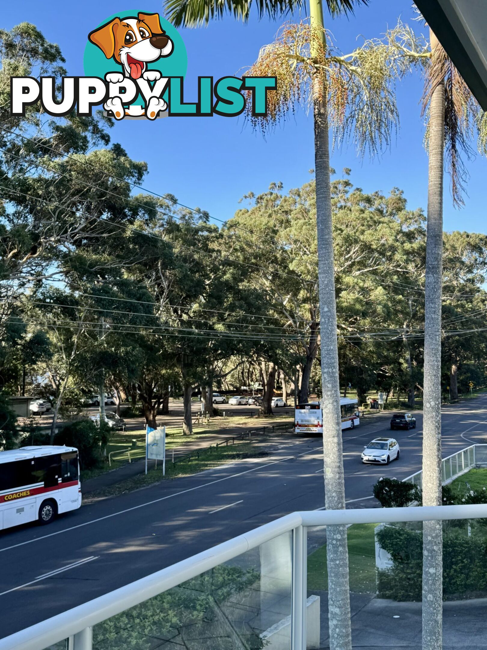 Unit 6/153 Government Road CORLETTE NSW 2315