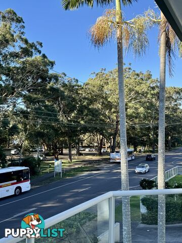 Unit 6/153 Government Road CORLETTE NSW 2315