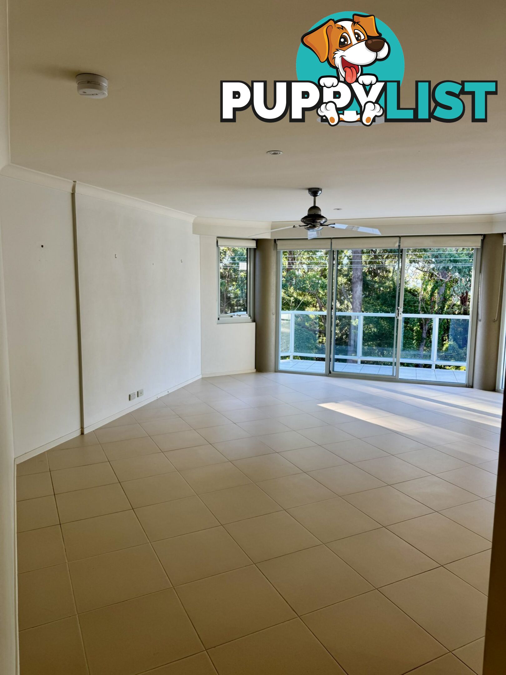 Unit 6/153 Government Road CORLETTE NSW 2315