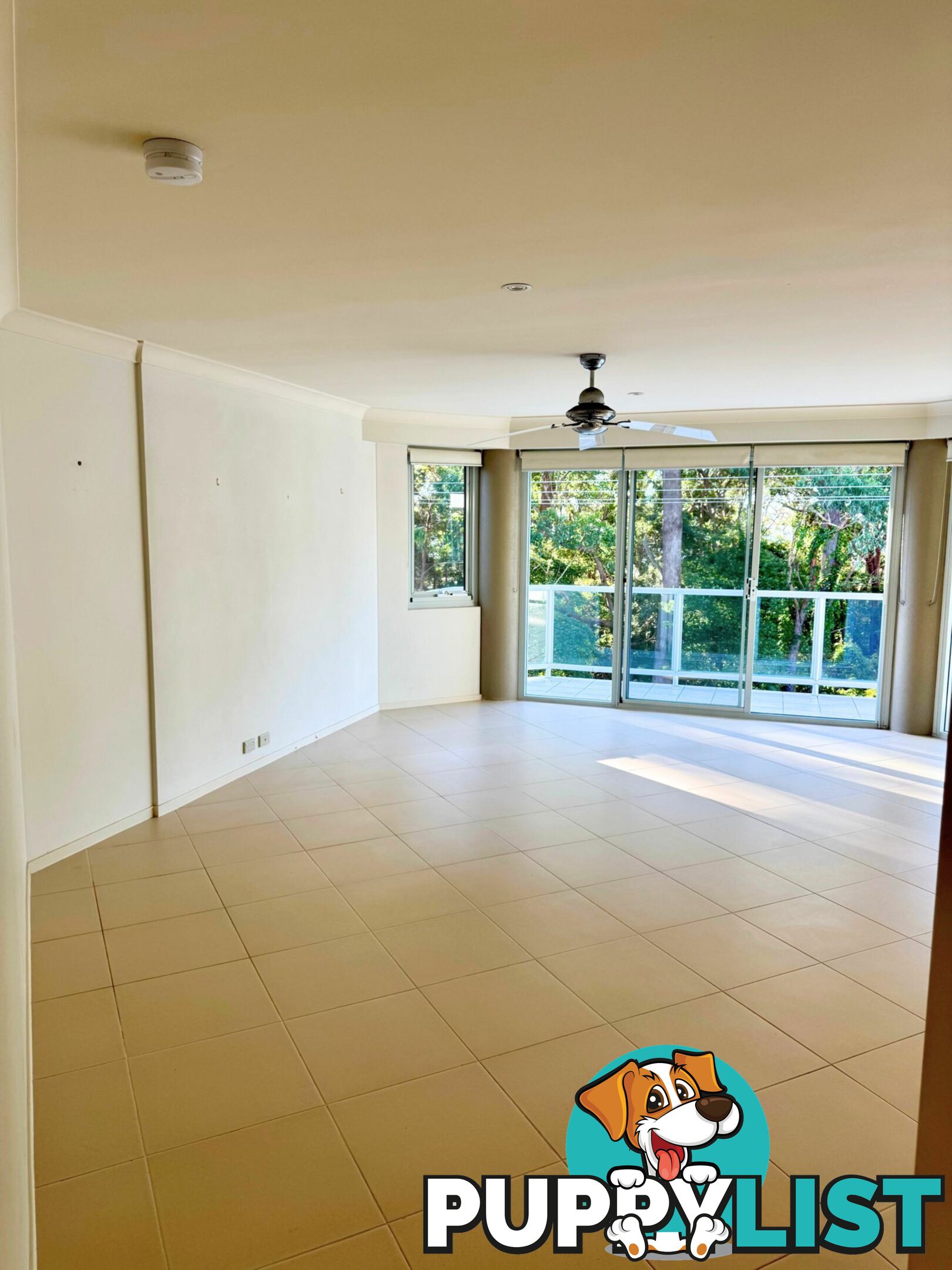 Unit 6/153 Government Road CORLETTE NSW 2315