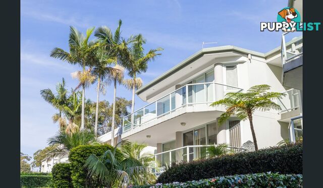 Unit 6/153 Government Road CORLETTE NSW 2315