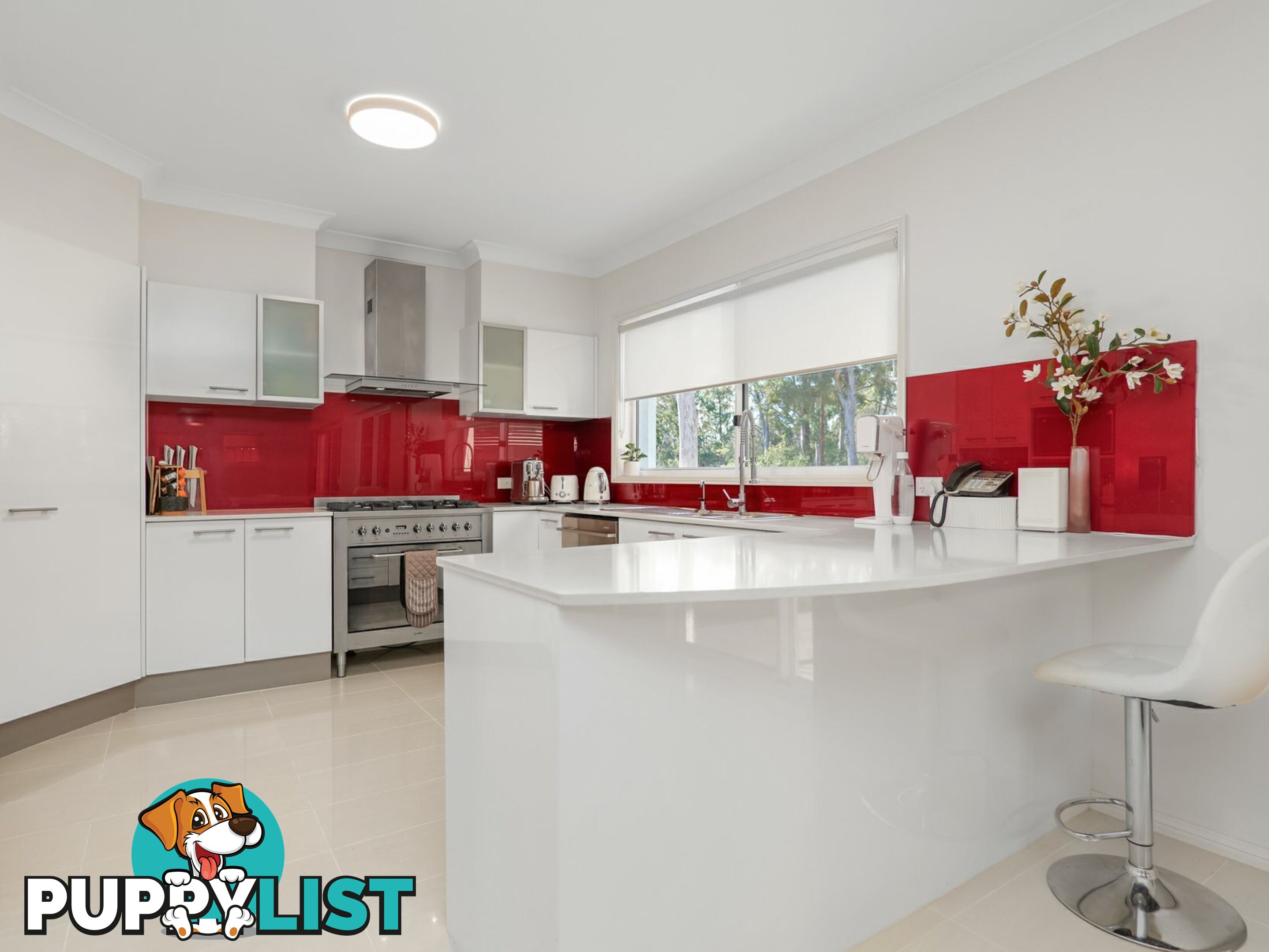 58 Sassin Crescent MEDOWIE NSW 2318