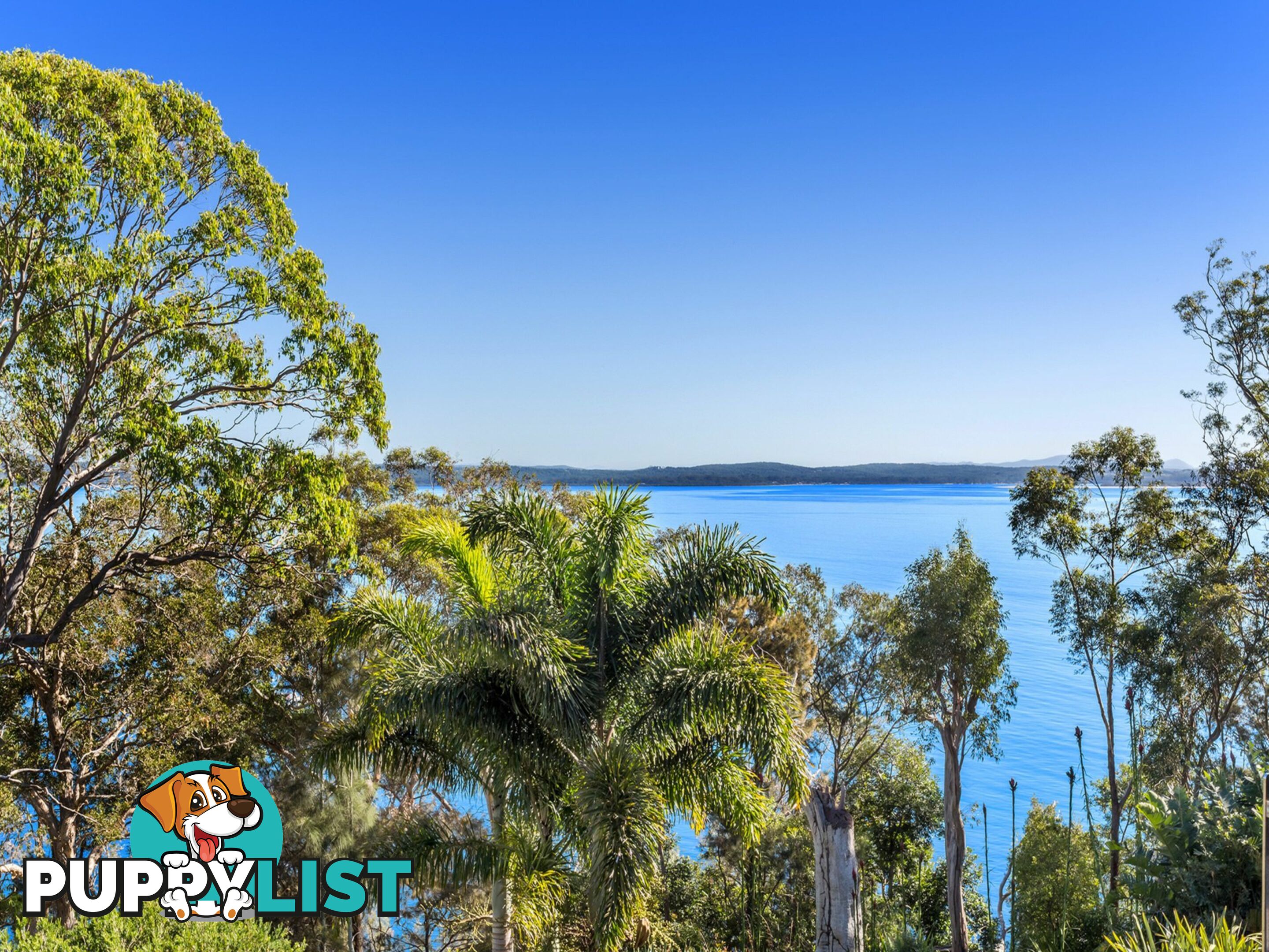 56 Thurlow Avenue NELSON BAY NSW 2315